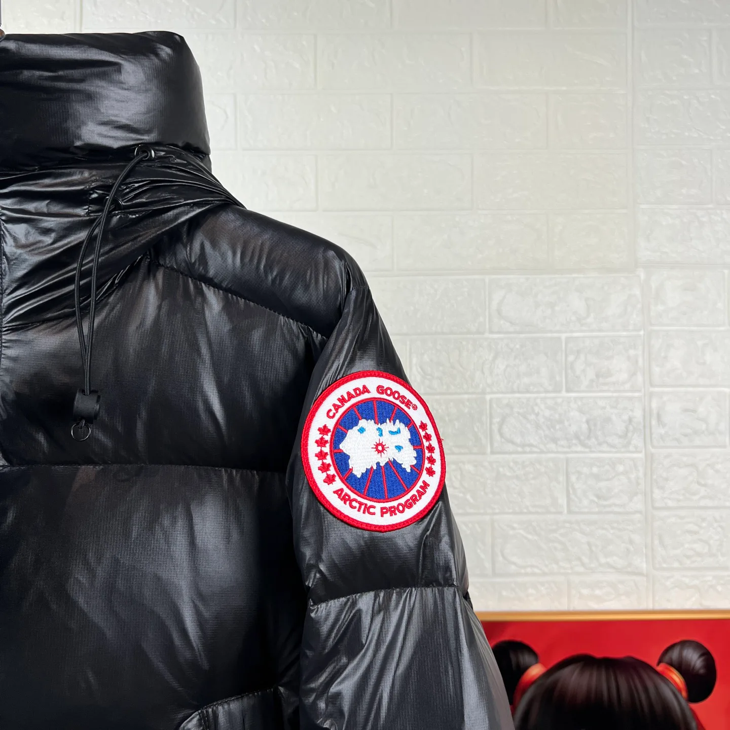 Куртки И Пуховики Женские Canada Goose 17897324