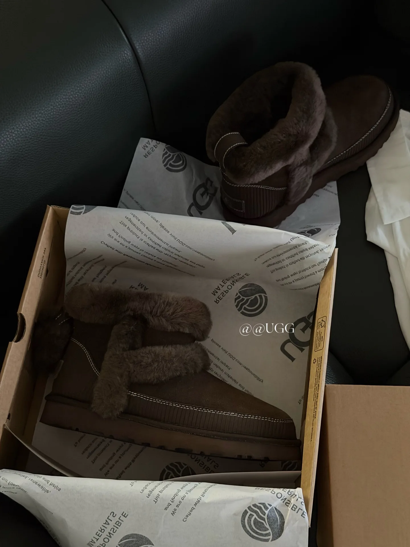 Угги Женские Ugg 18727402