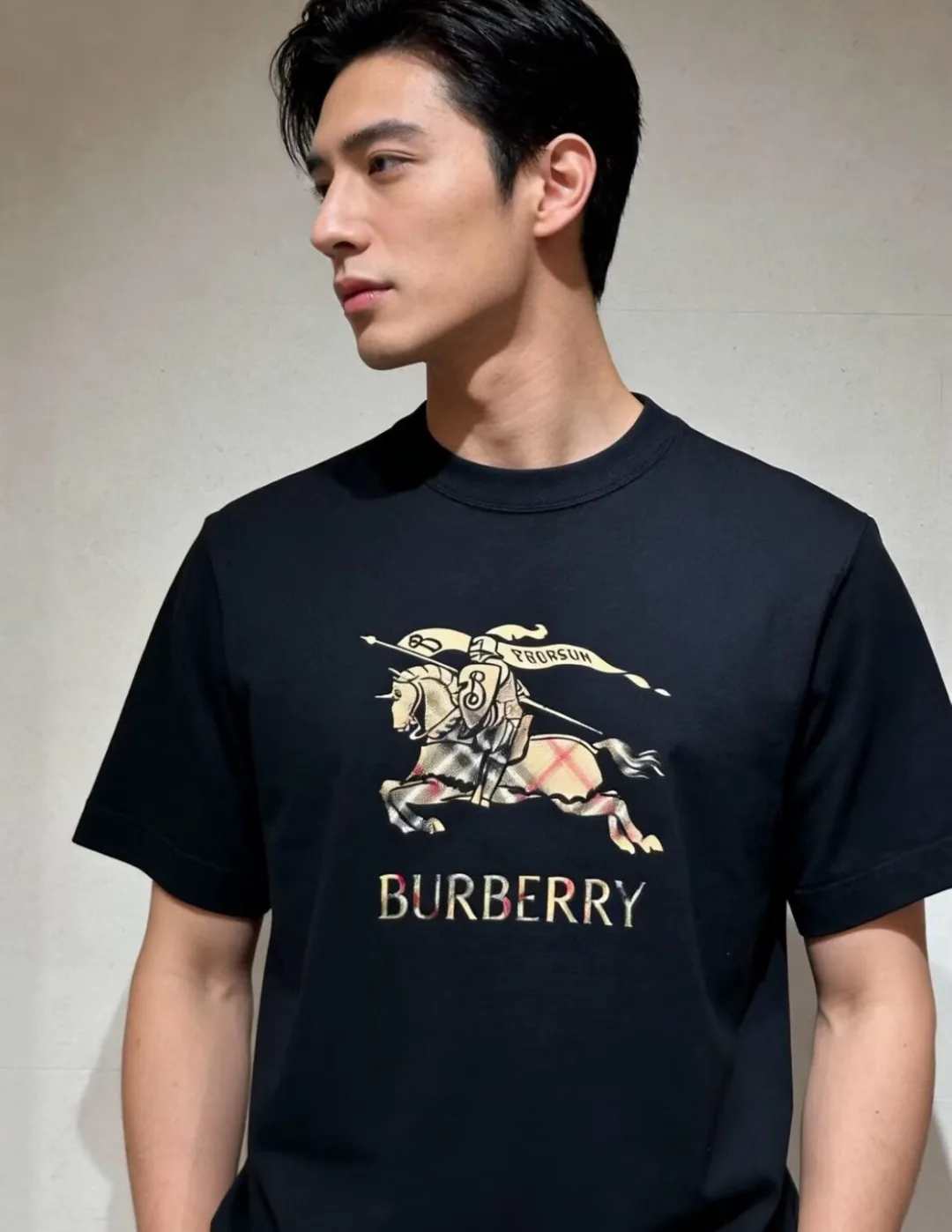 Футболки Мужские Burberry 17527054