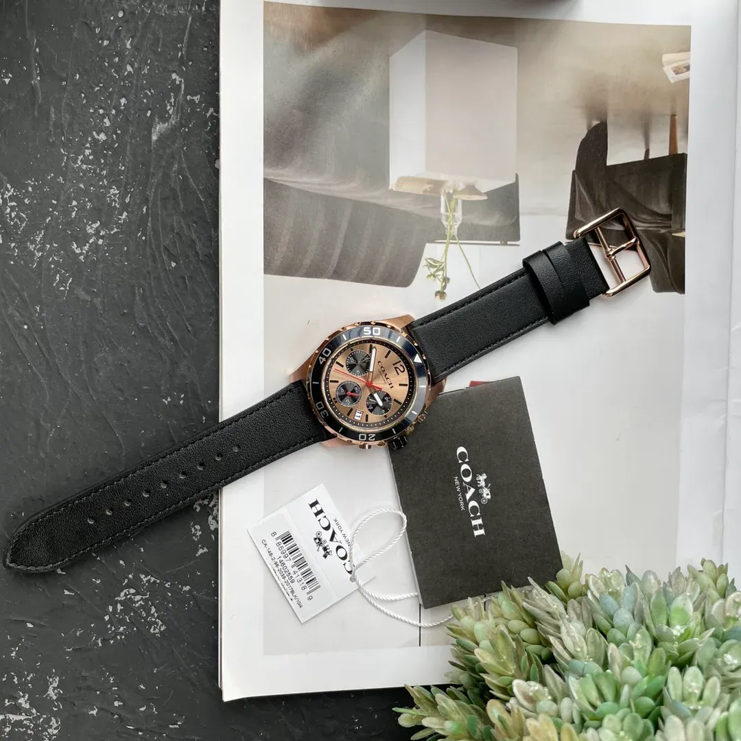 Часы Мужские Coach 1880643