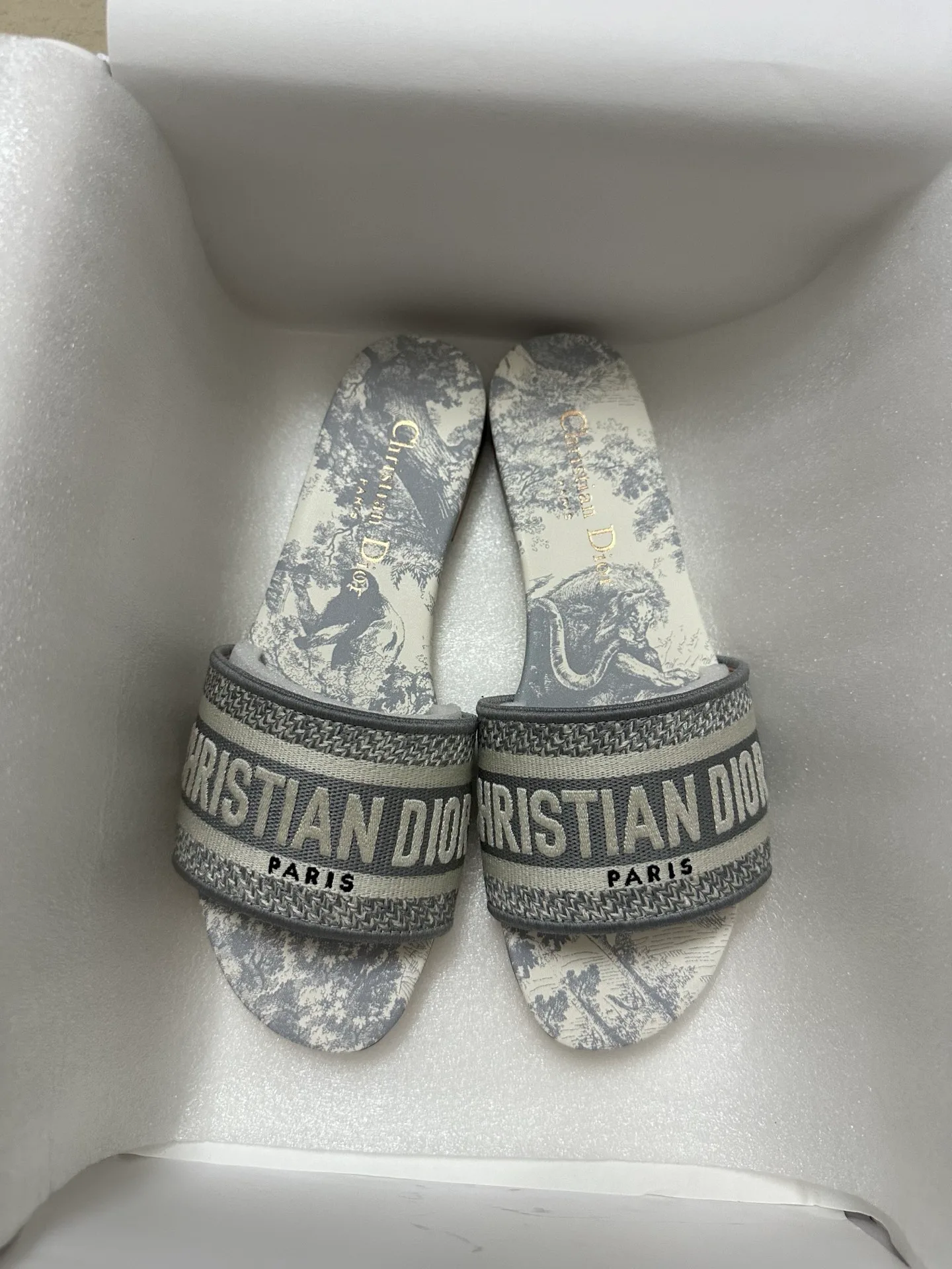 Шлепанцы Женские Christian Dior 633304
