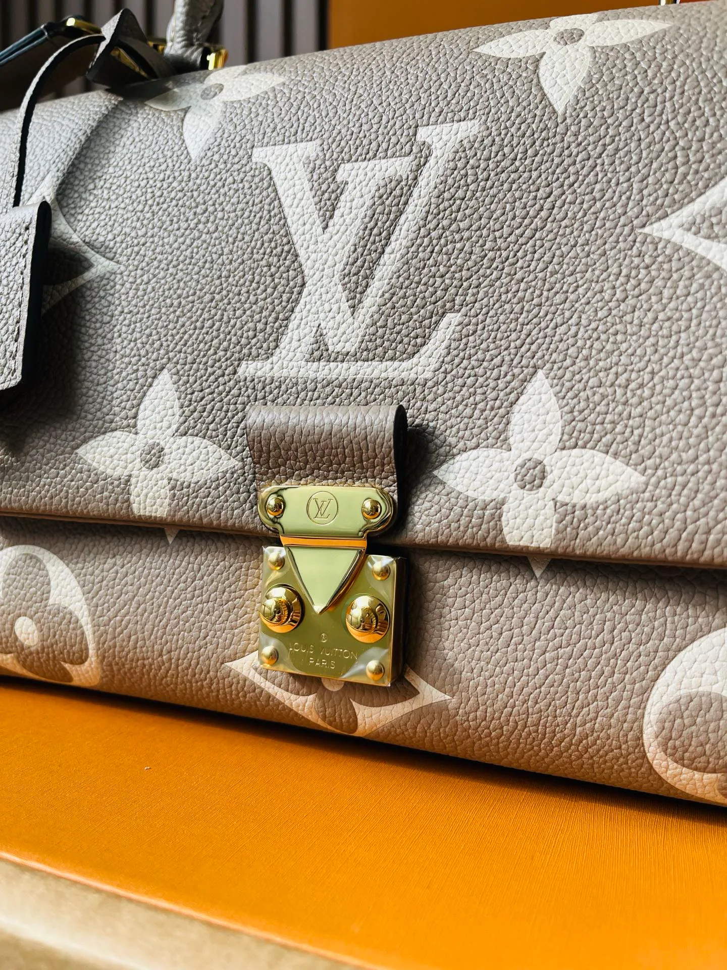 Классические Сумки Женские Louis Vuitton 12860029