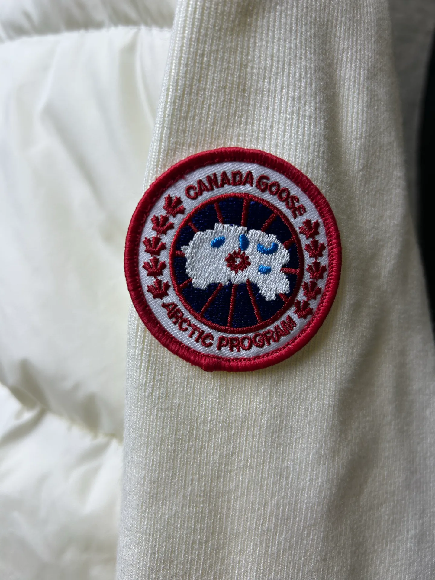 Куртки И Пуховики Женские Canada Goose 18994004