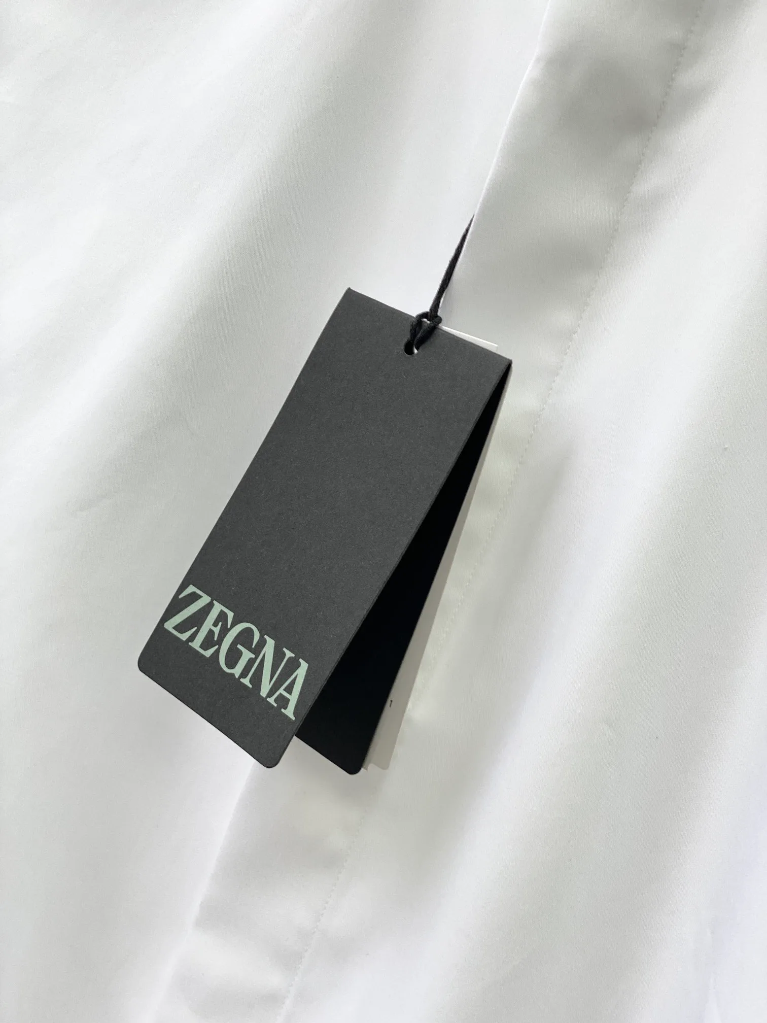 Рубашки Мужские Zegna 13554164