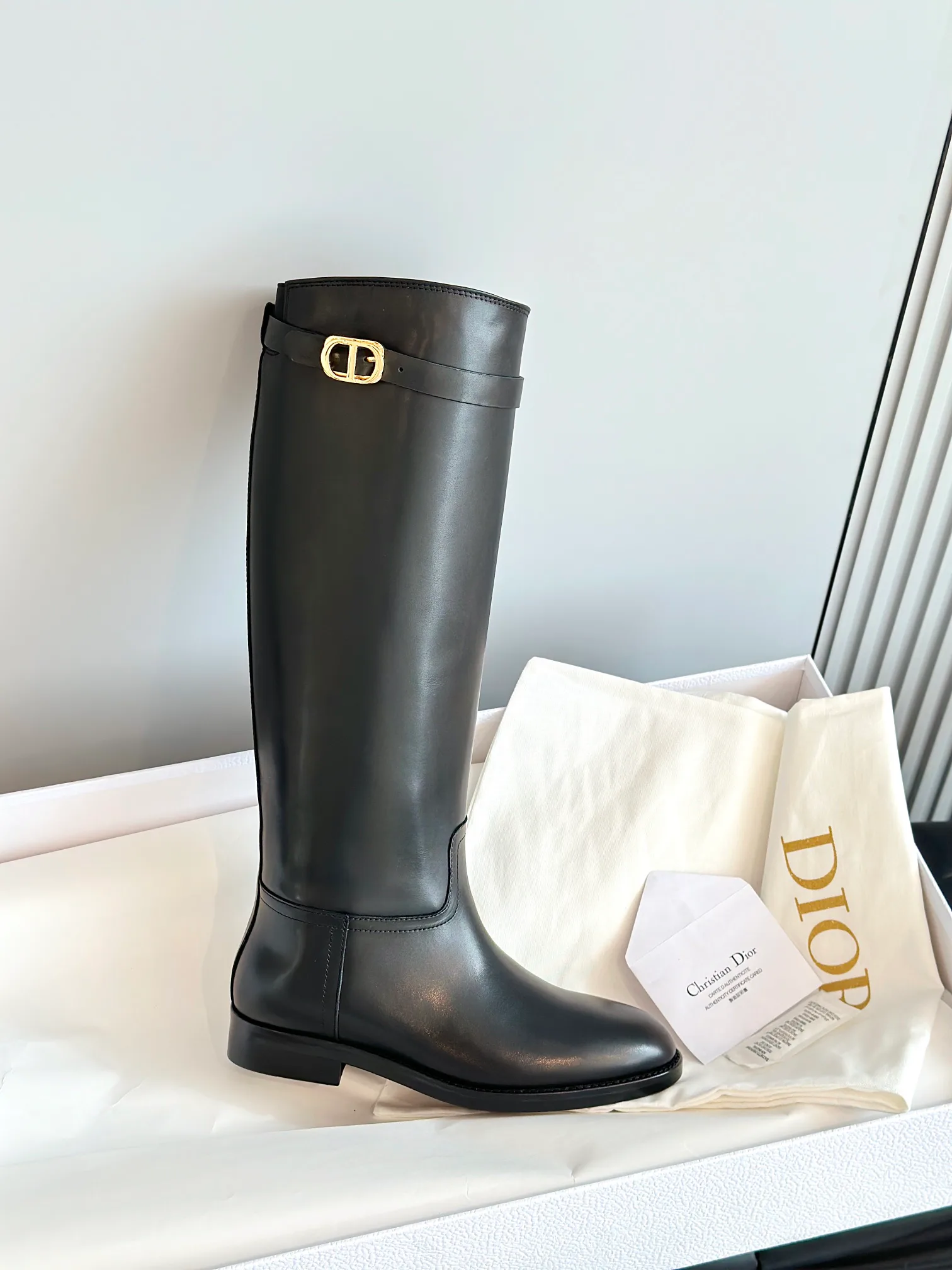 Сапоги Женские Christian Dior 18243654