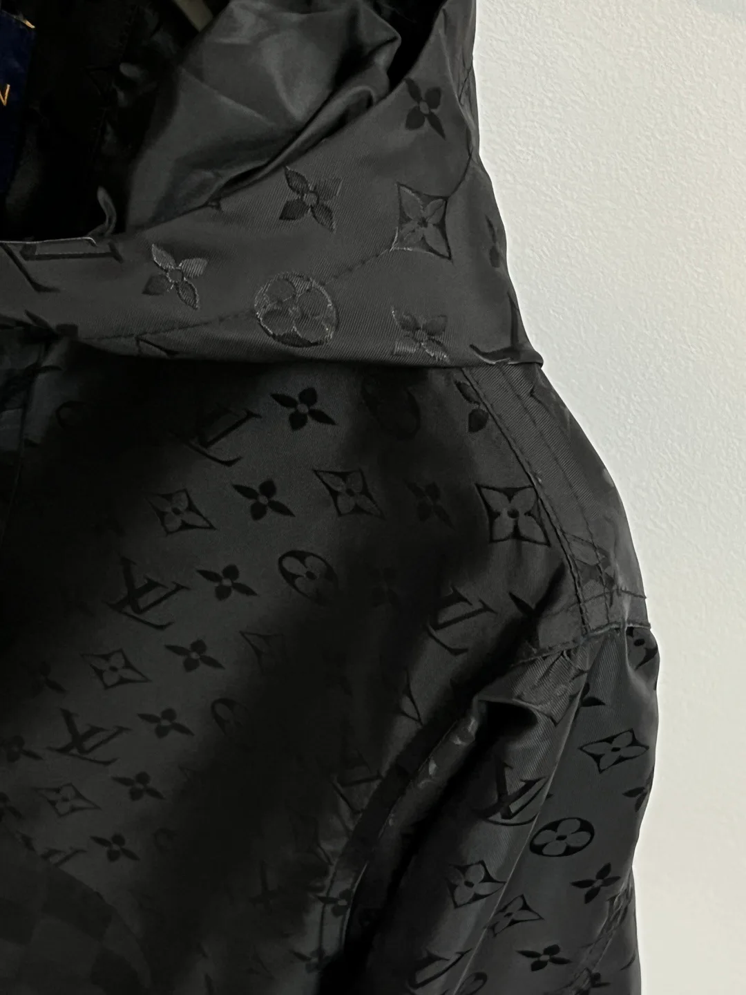 Куртки И Пуховики Мужские Louis Vuitton 11000520