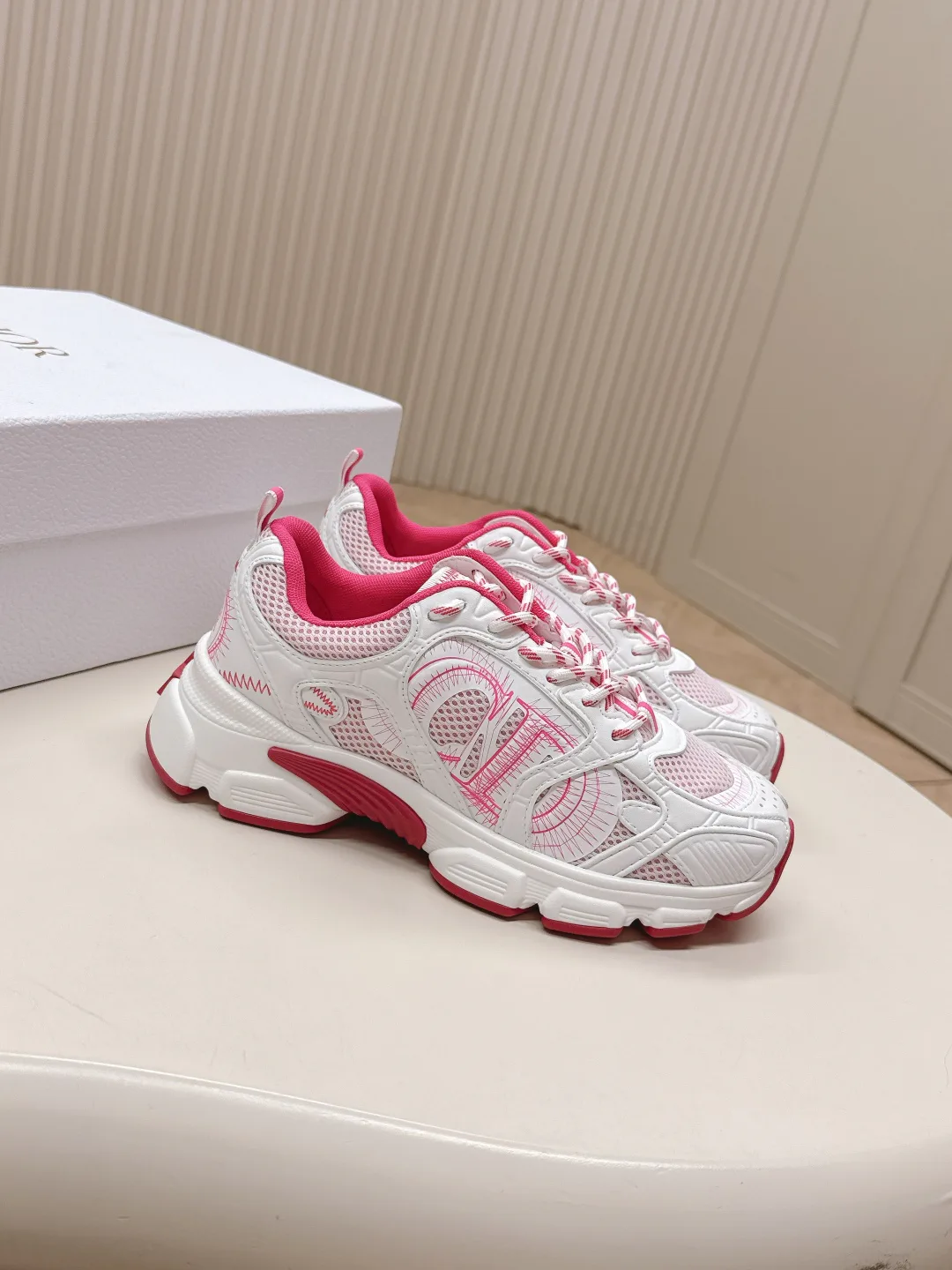 Кроссовки Женские Christian Dior 22100