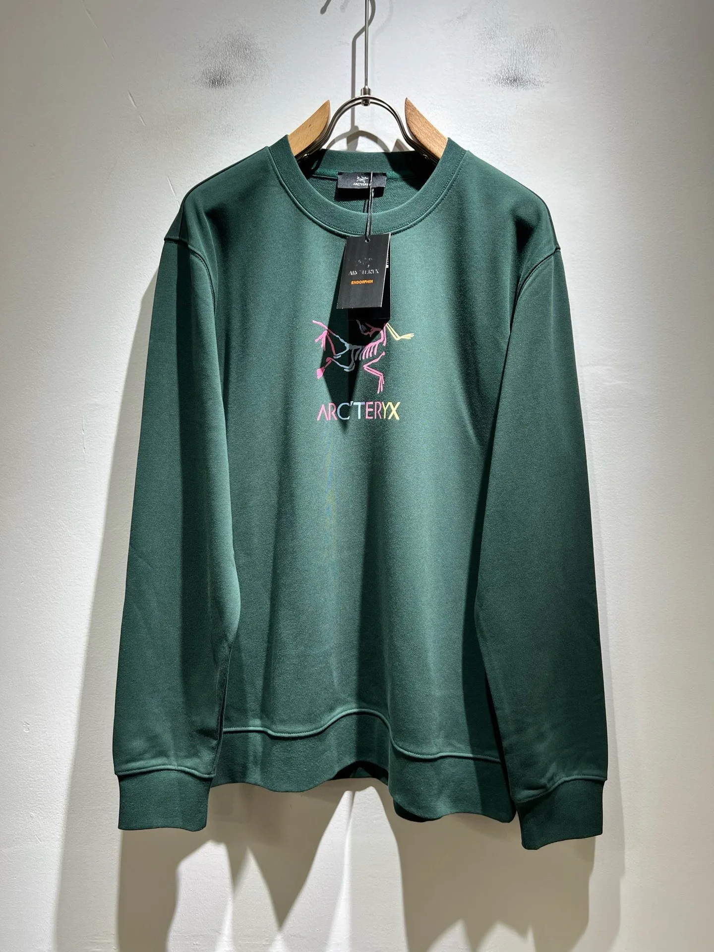 Свитшоты И Худи Мужские Arcteryx 18081227