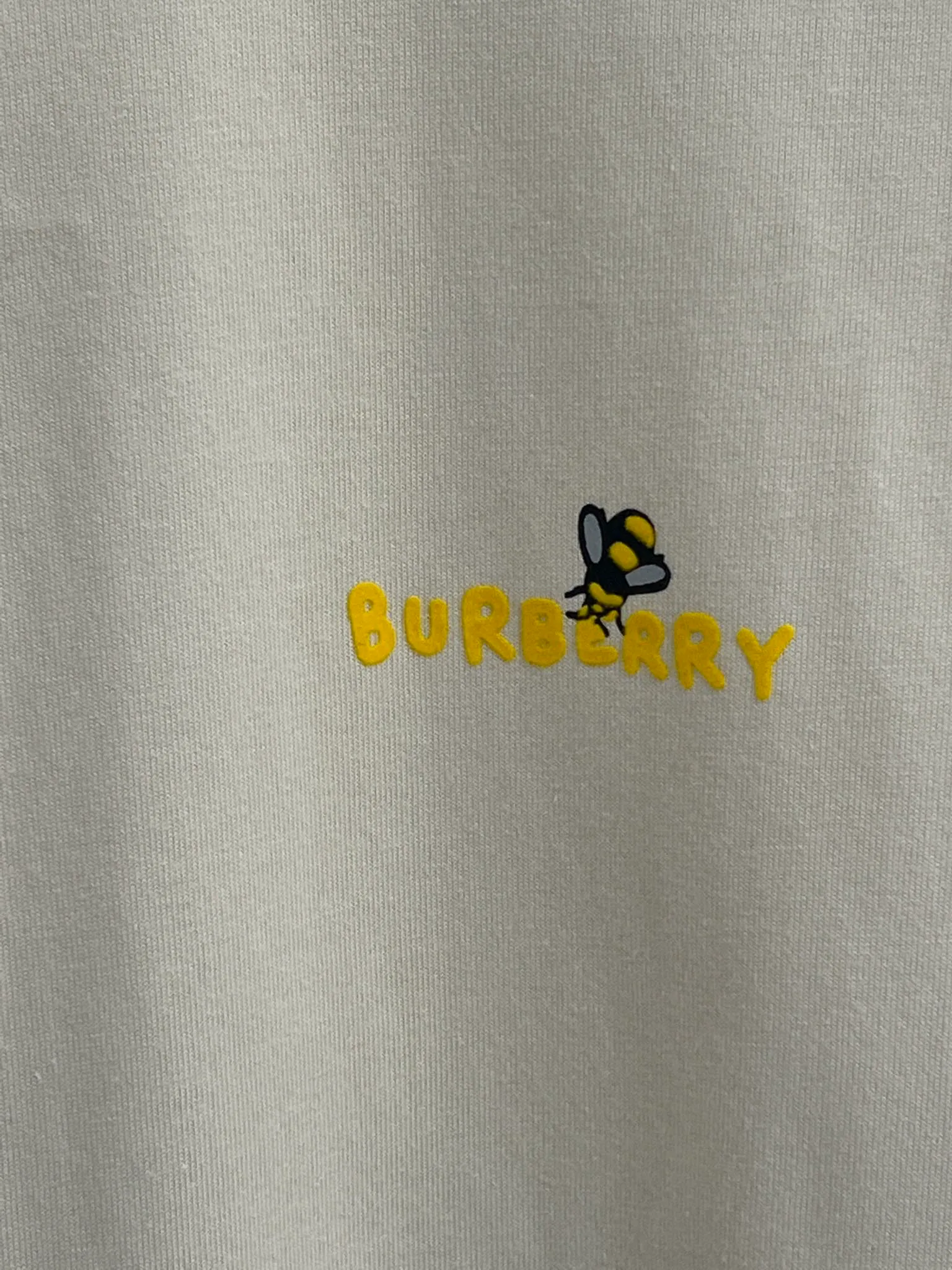 Футболки Женские Burberry 11432992