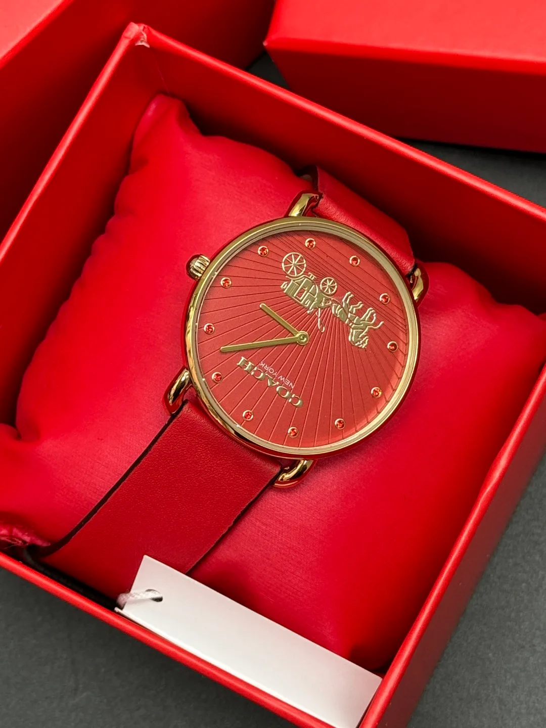 Часы Женские Coach 967787