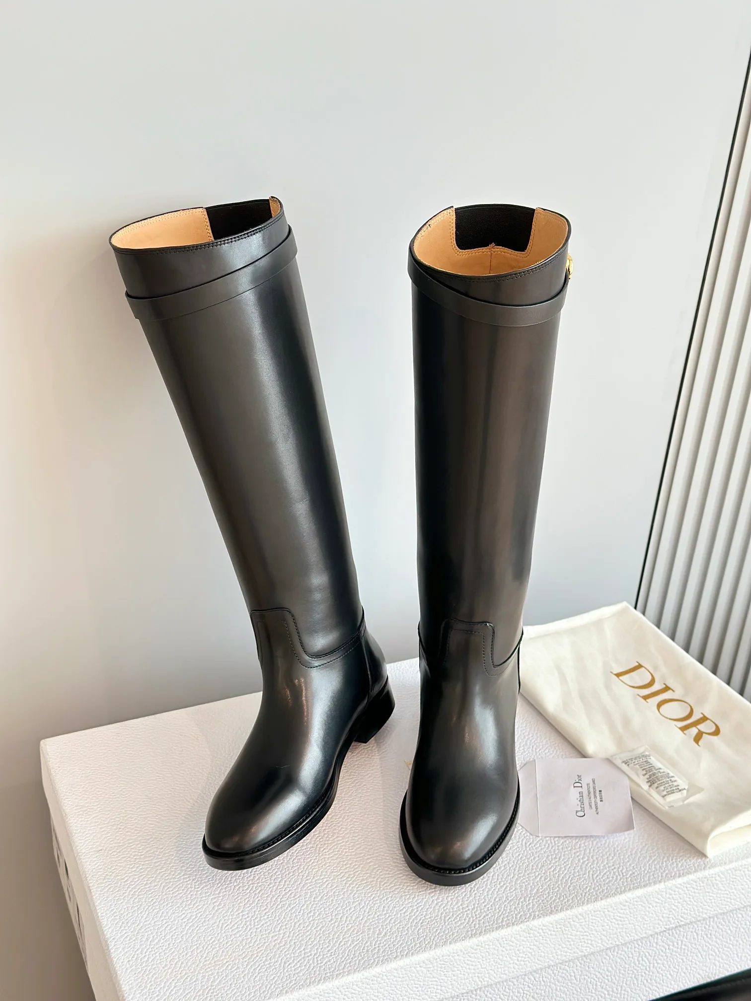 Сапоги Женские Christian Dior 18243654