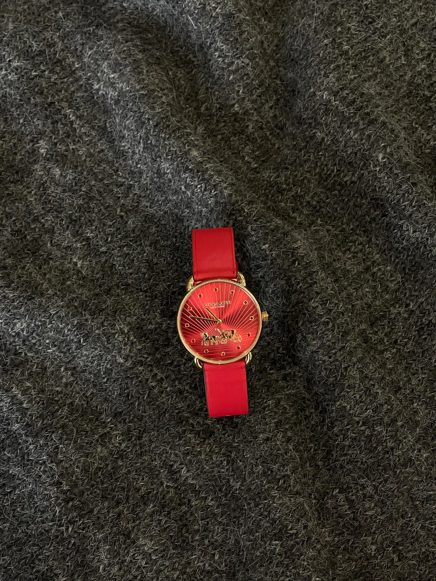 Часы Женские Coach 3409378