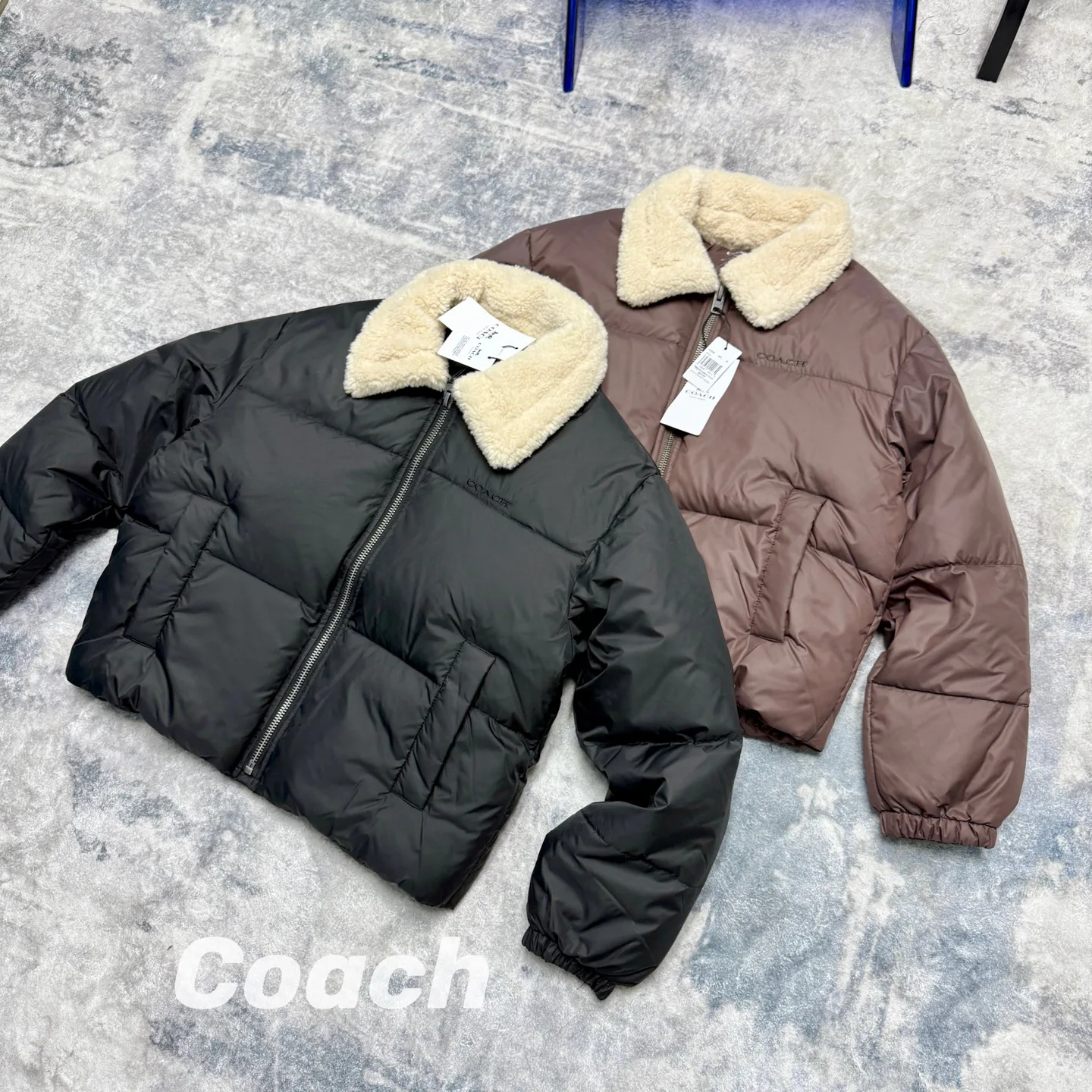 Куртки И Пуховики Женские Coach 816465