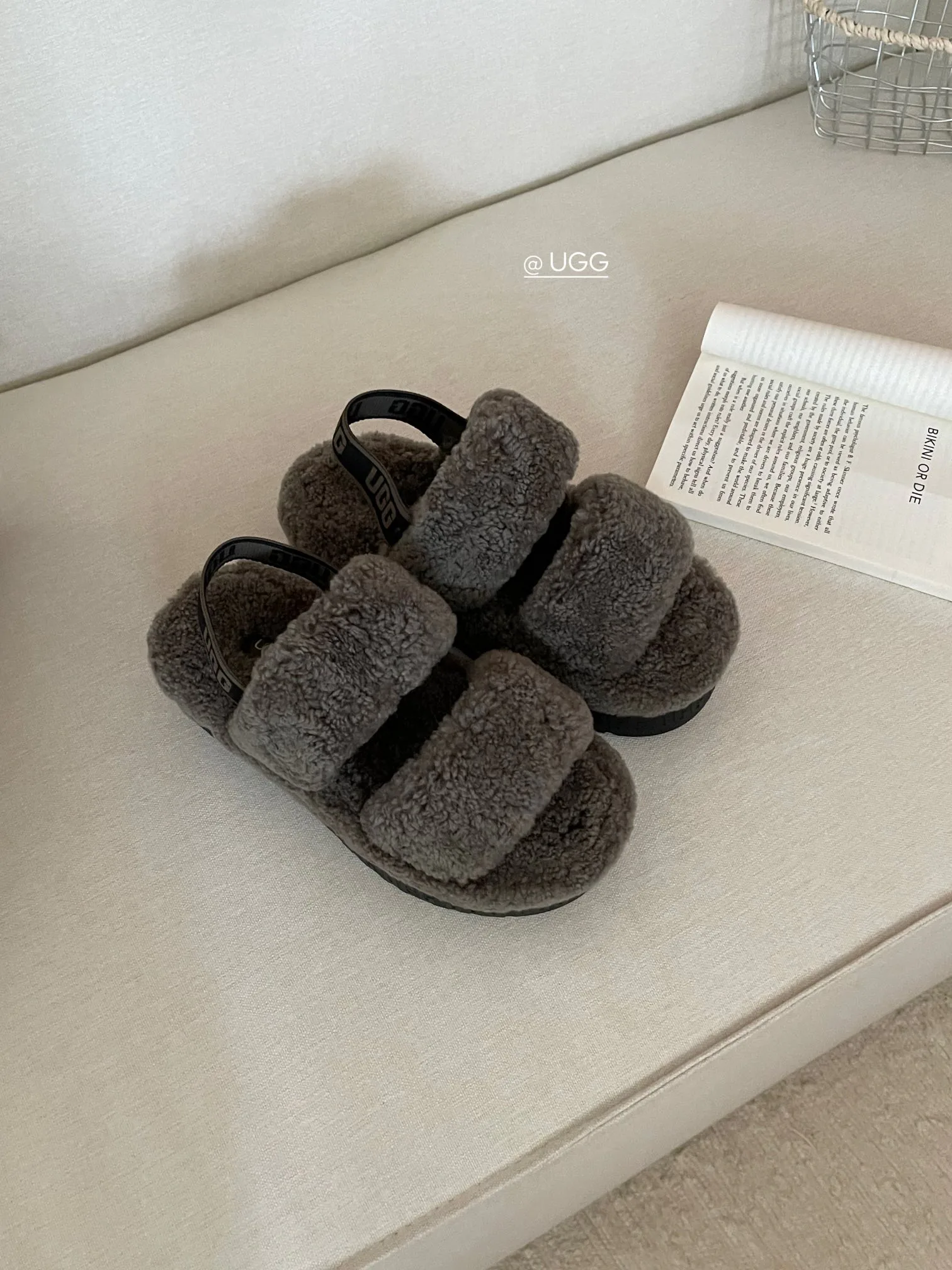 Тапочки Женские Ugg 302057