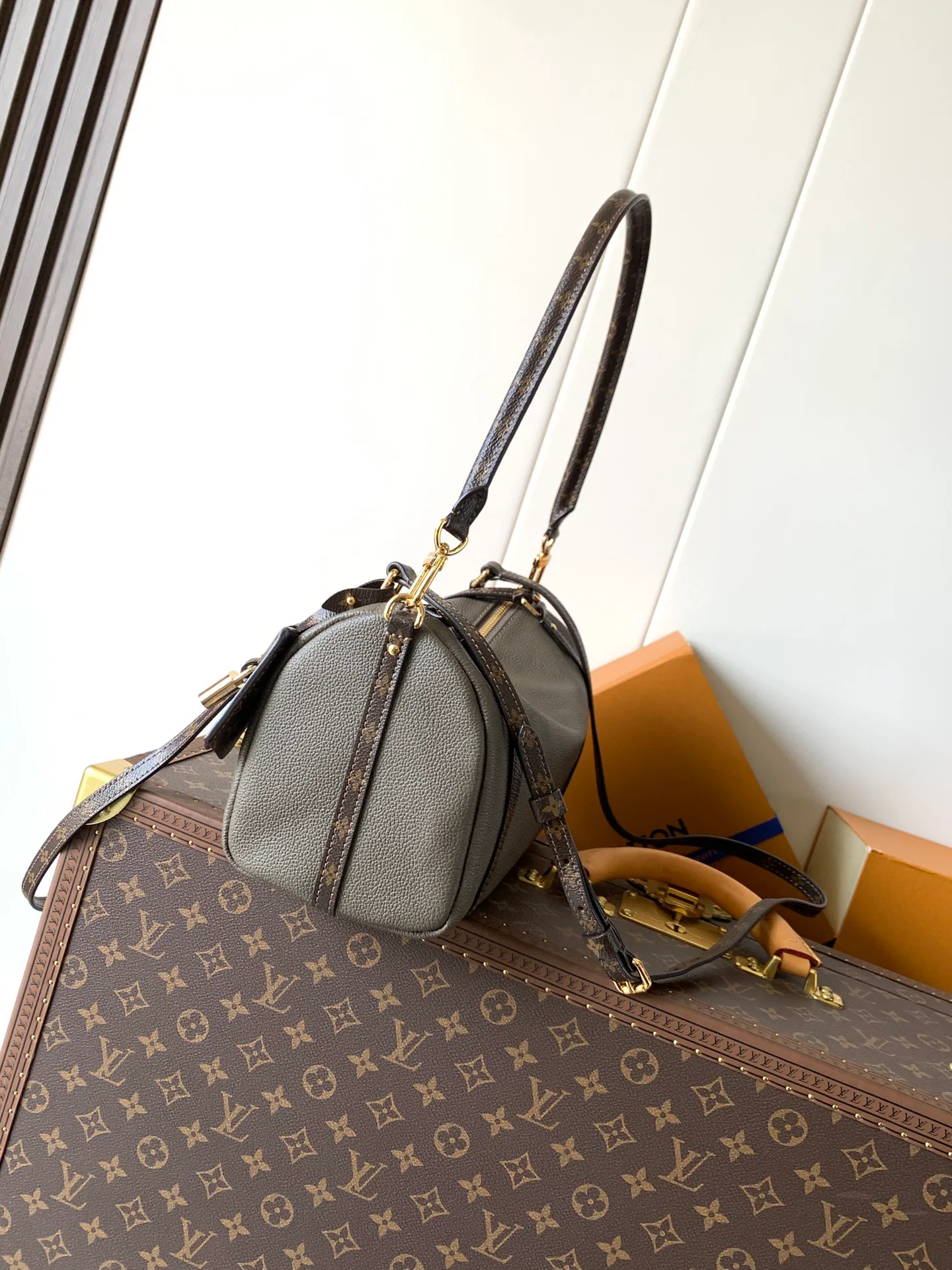 Классические Сумки Женские Louis Vuitton 11394899