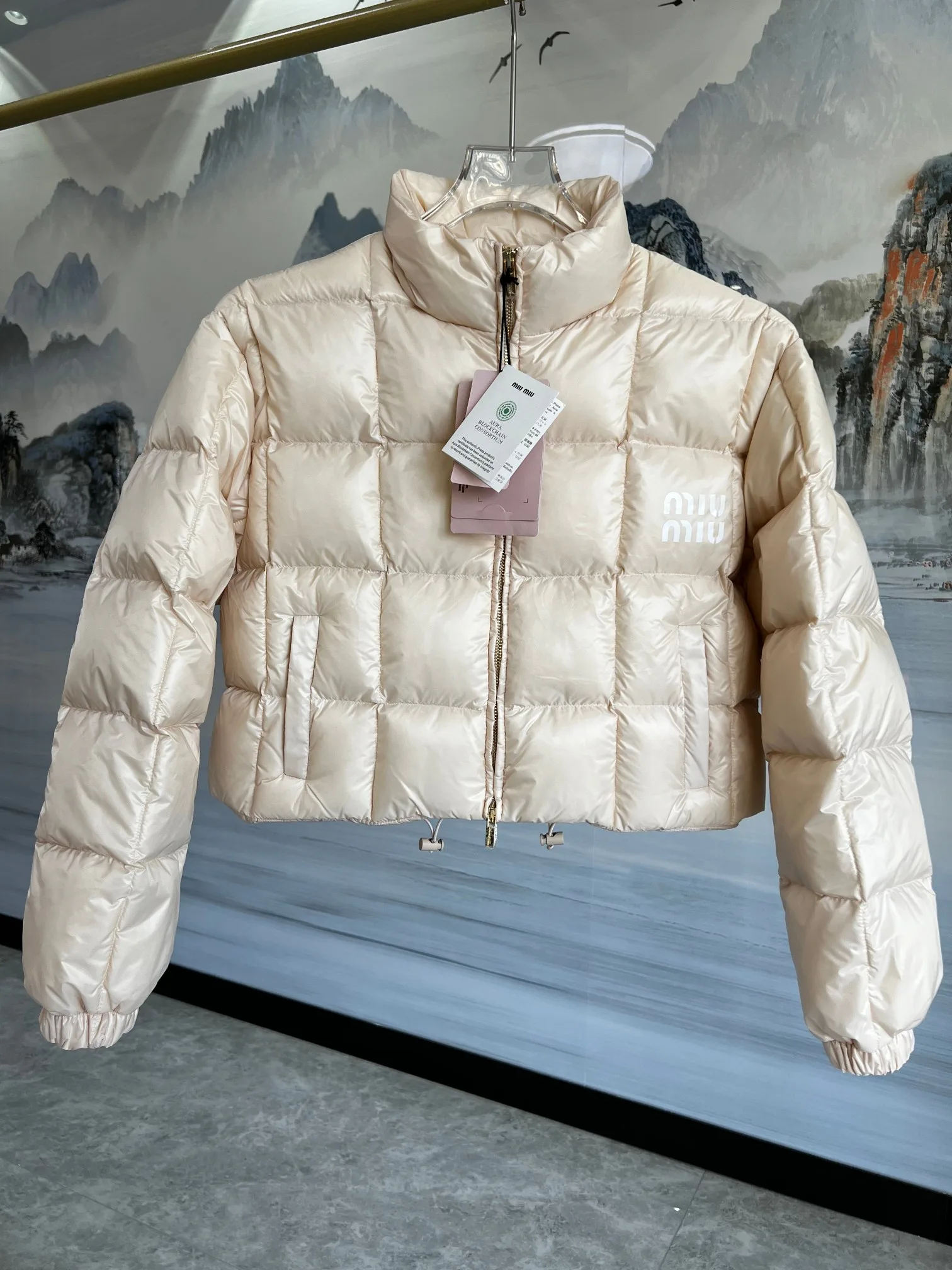 Куртки И Пуховики Женские Miu Miu 3612963