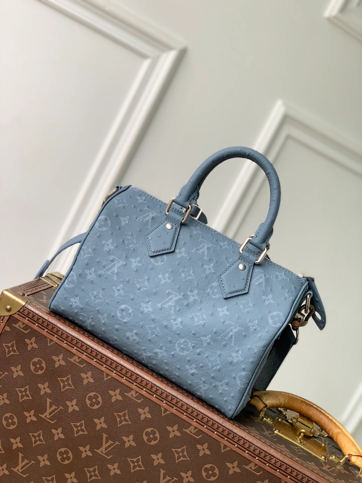 Классические Сумки Женские Louis Vuitton 18147446