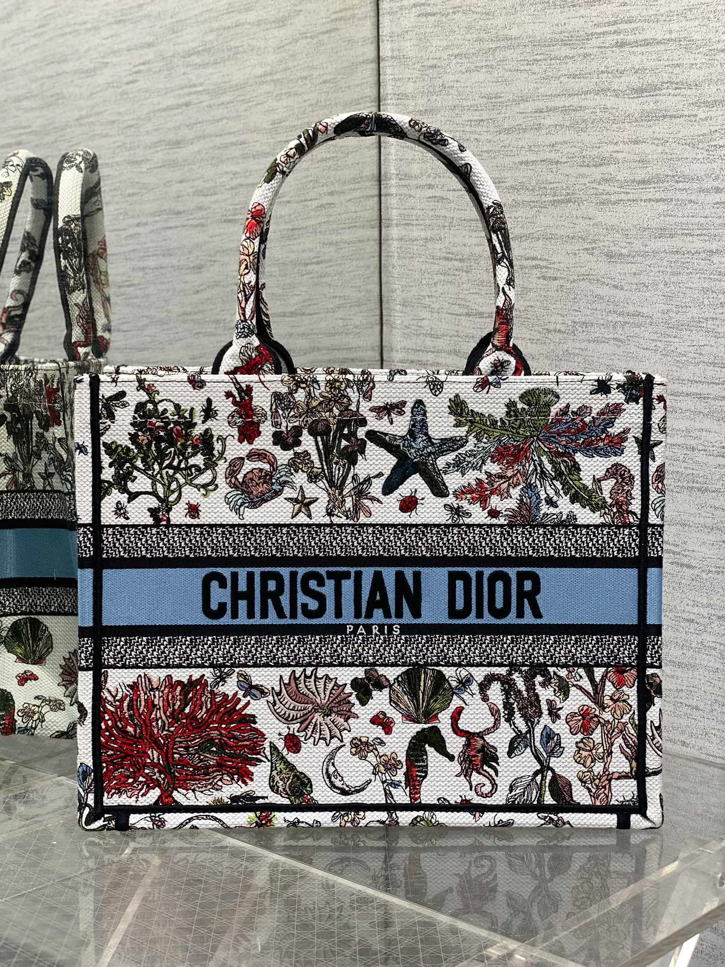 Классические Сумки Женские Christian Dior 13227195