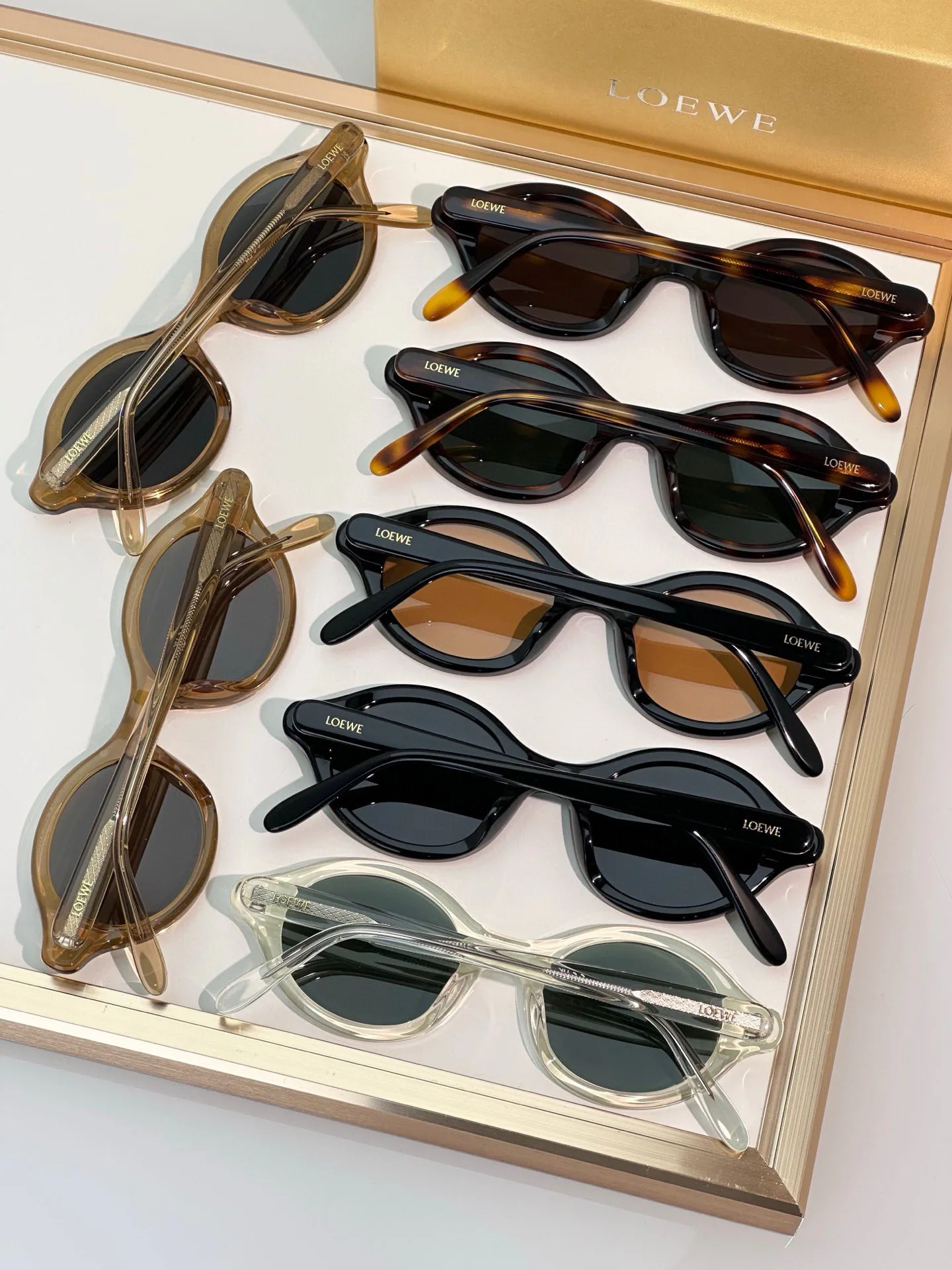 Очки Loewe 35562