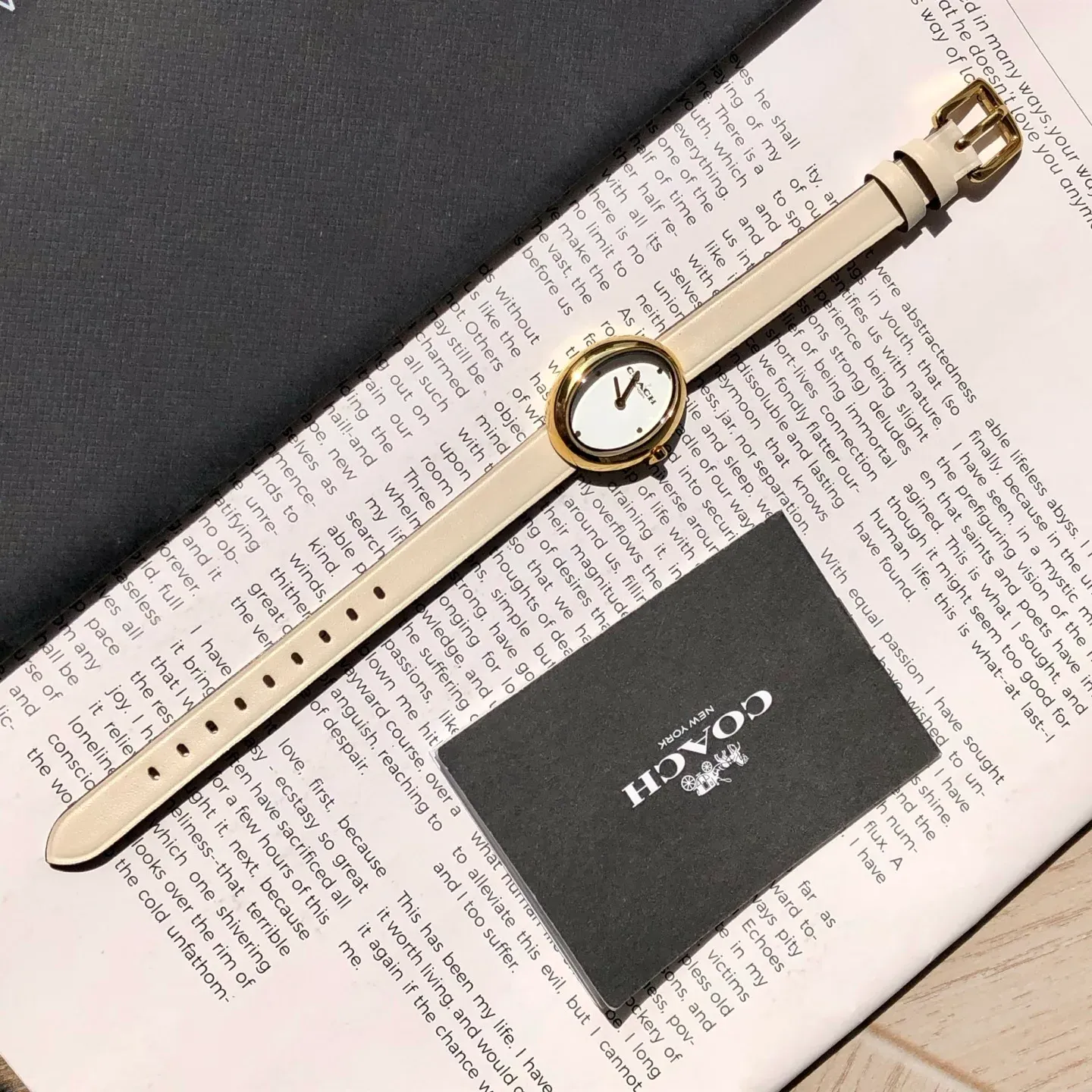 Часы Женские Coach 449050