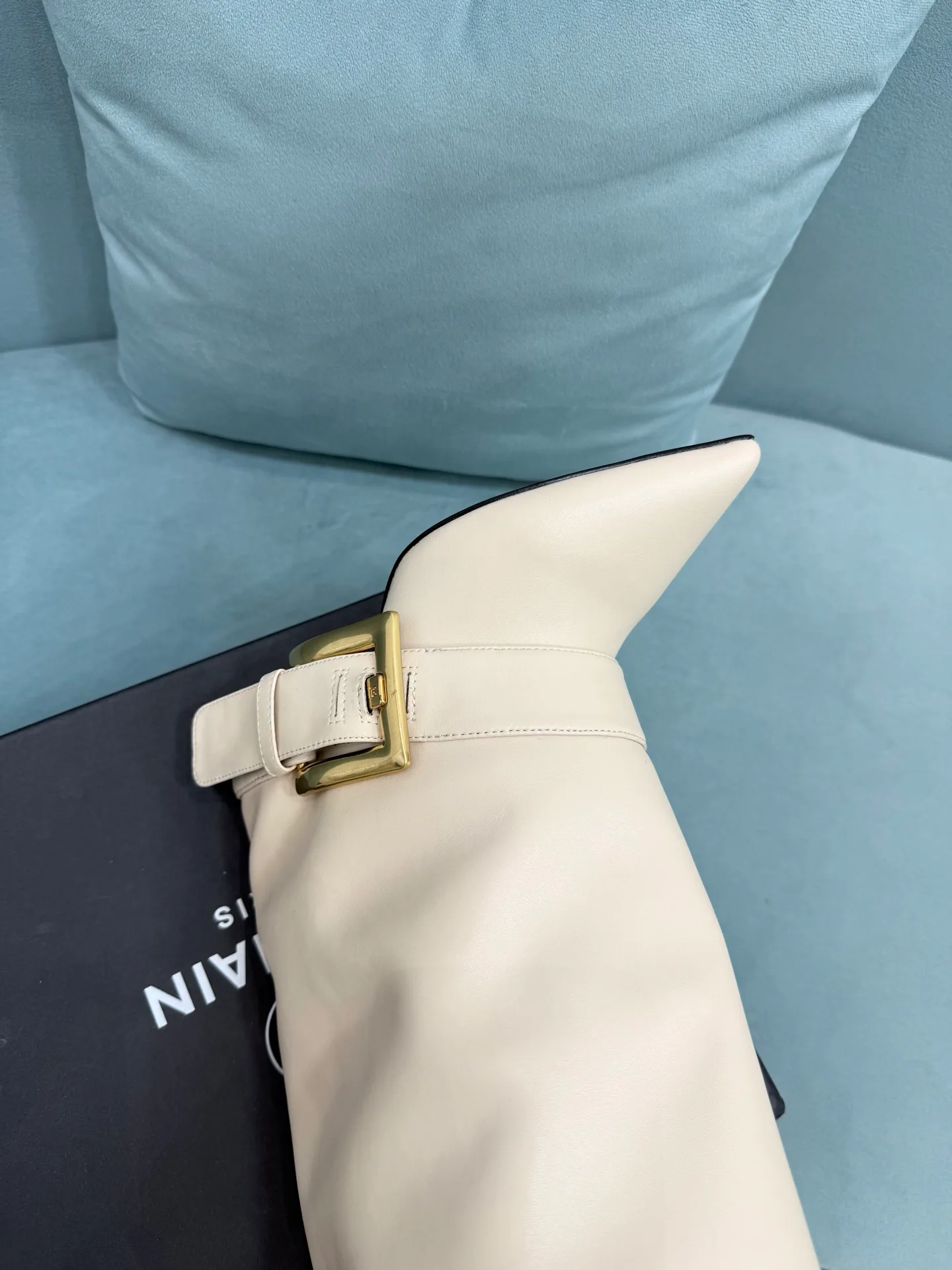 Сапоги Женские Balmain 785280