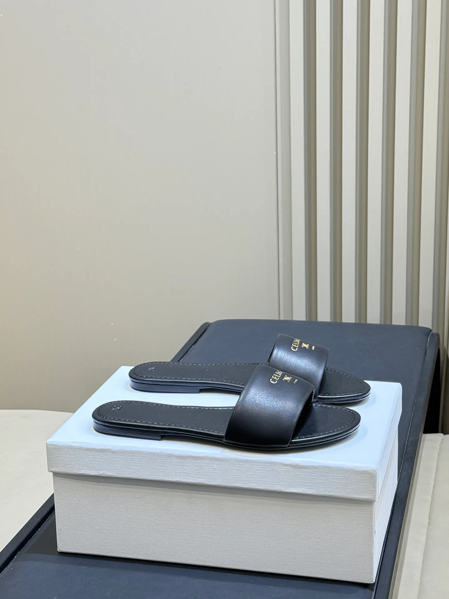 Шлепанцы Женские Celine 5024403