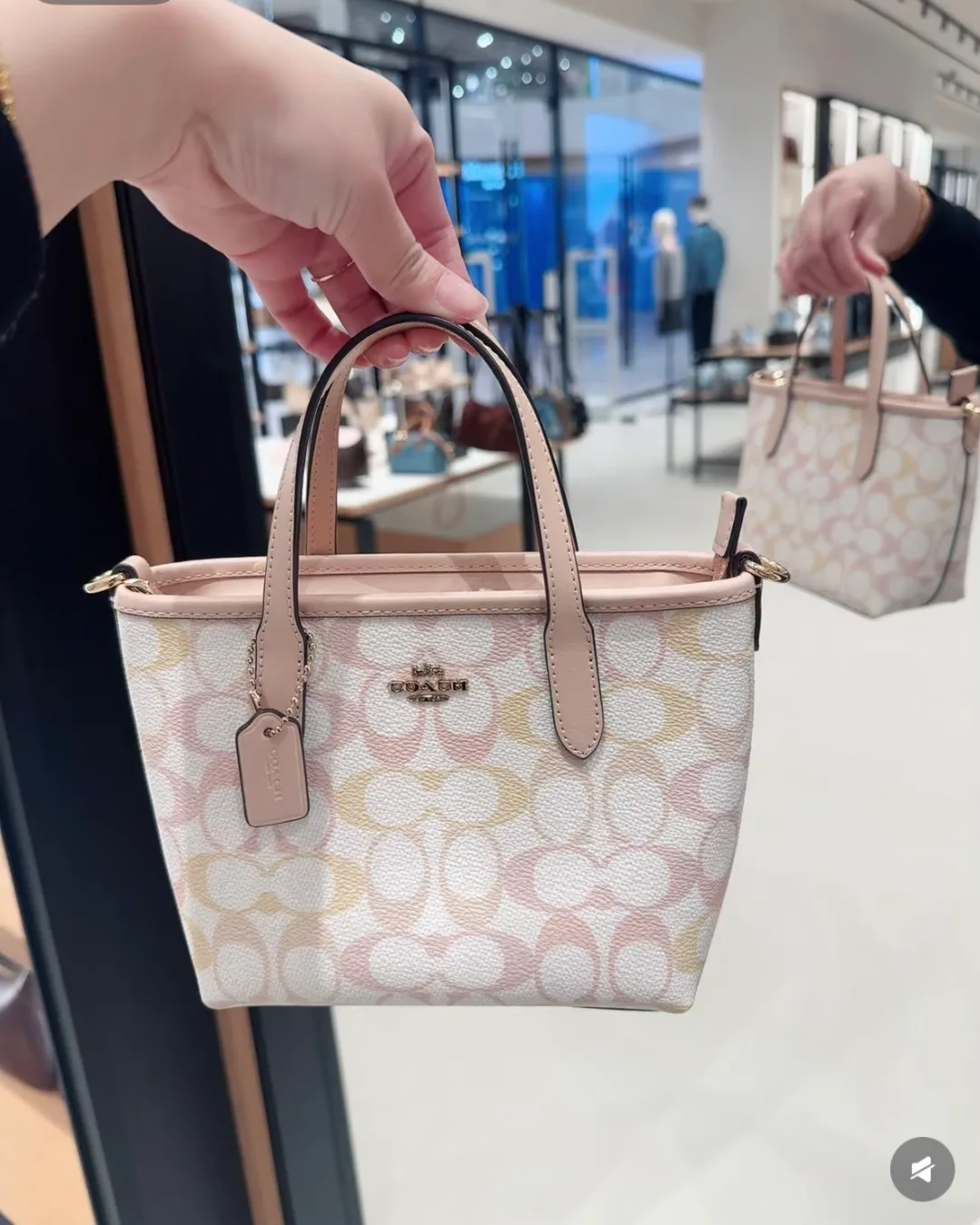 Классические Сумки Женские Coach 12669034