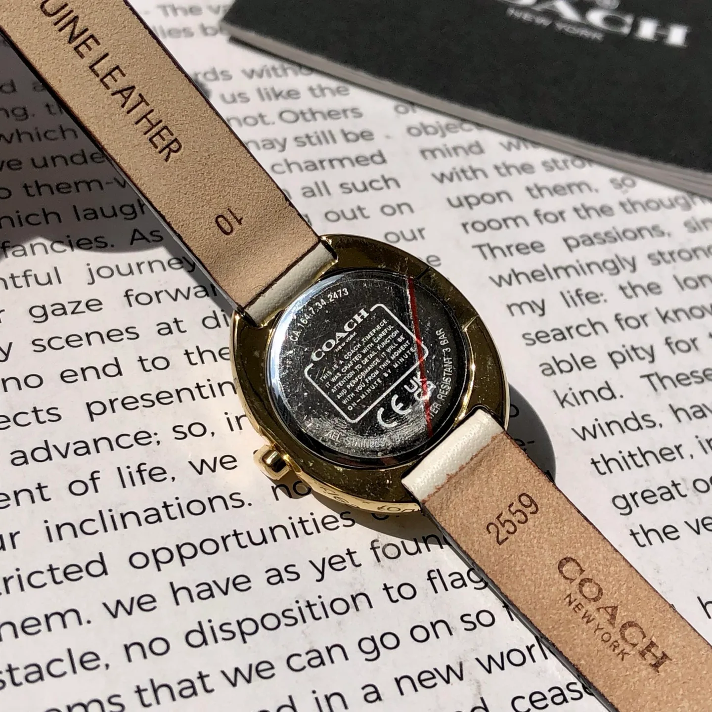 Часы Женские Coach 449050