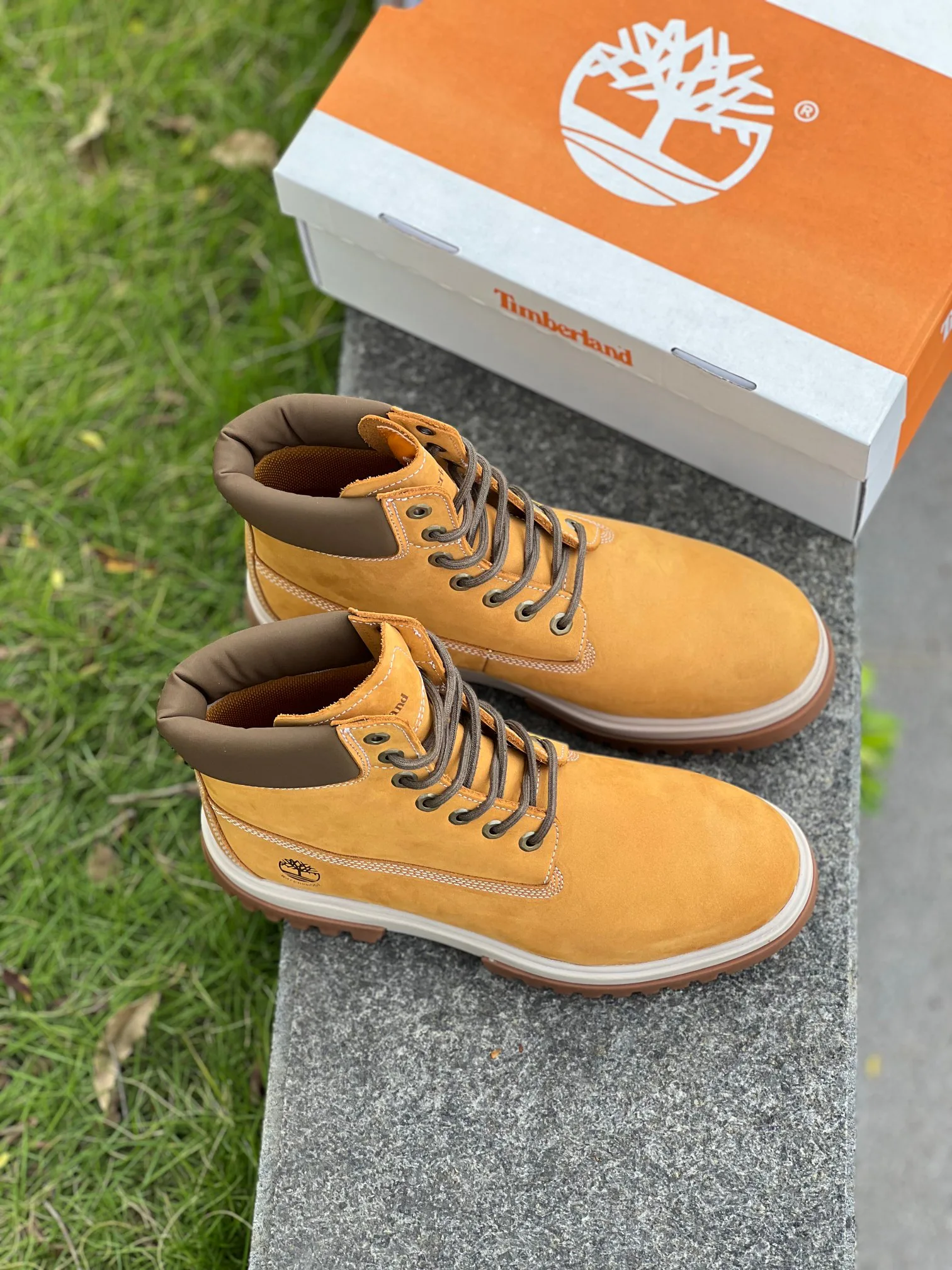 Ботинки Мужские Timberland 173400