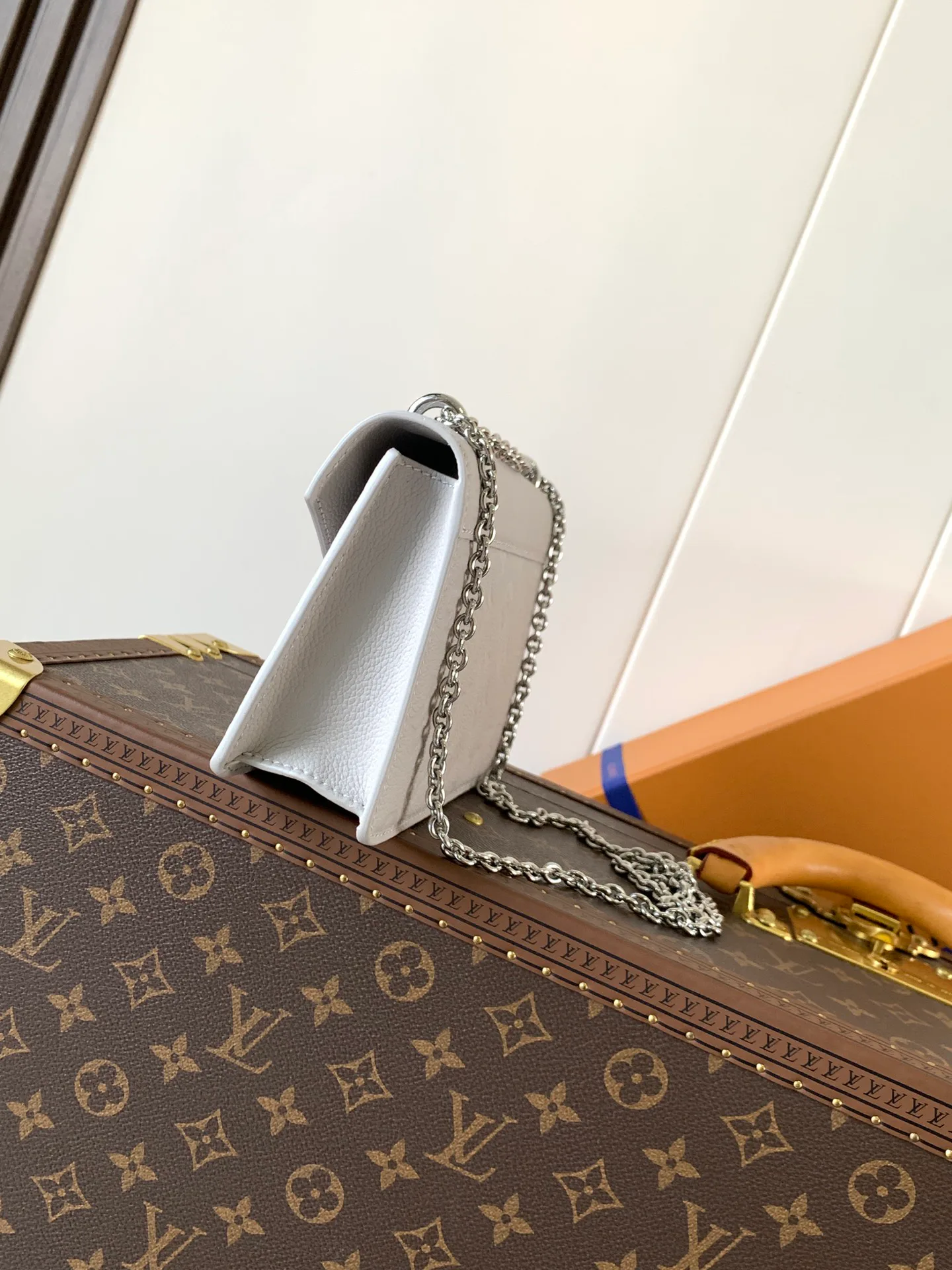 Клатчи Женские Louis Vuitton 11152602