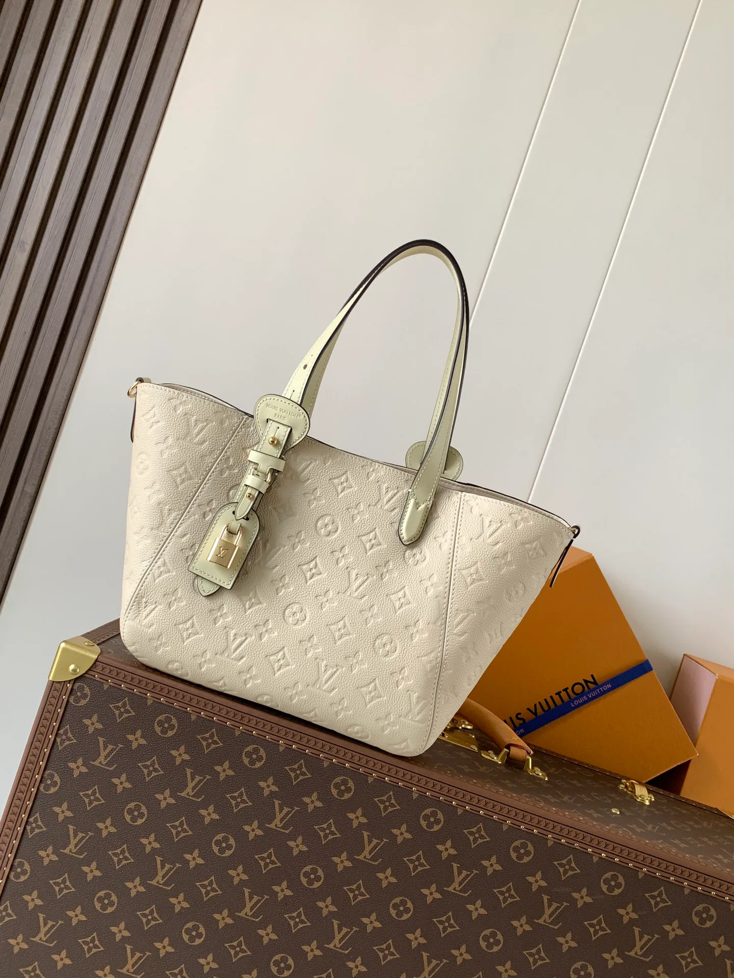 Классические Сумки Женские Louis Vuitton 11872297