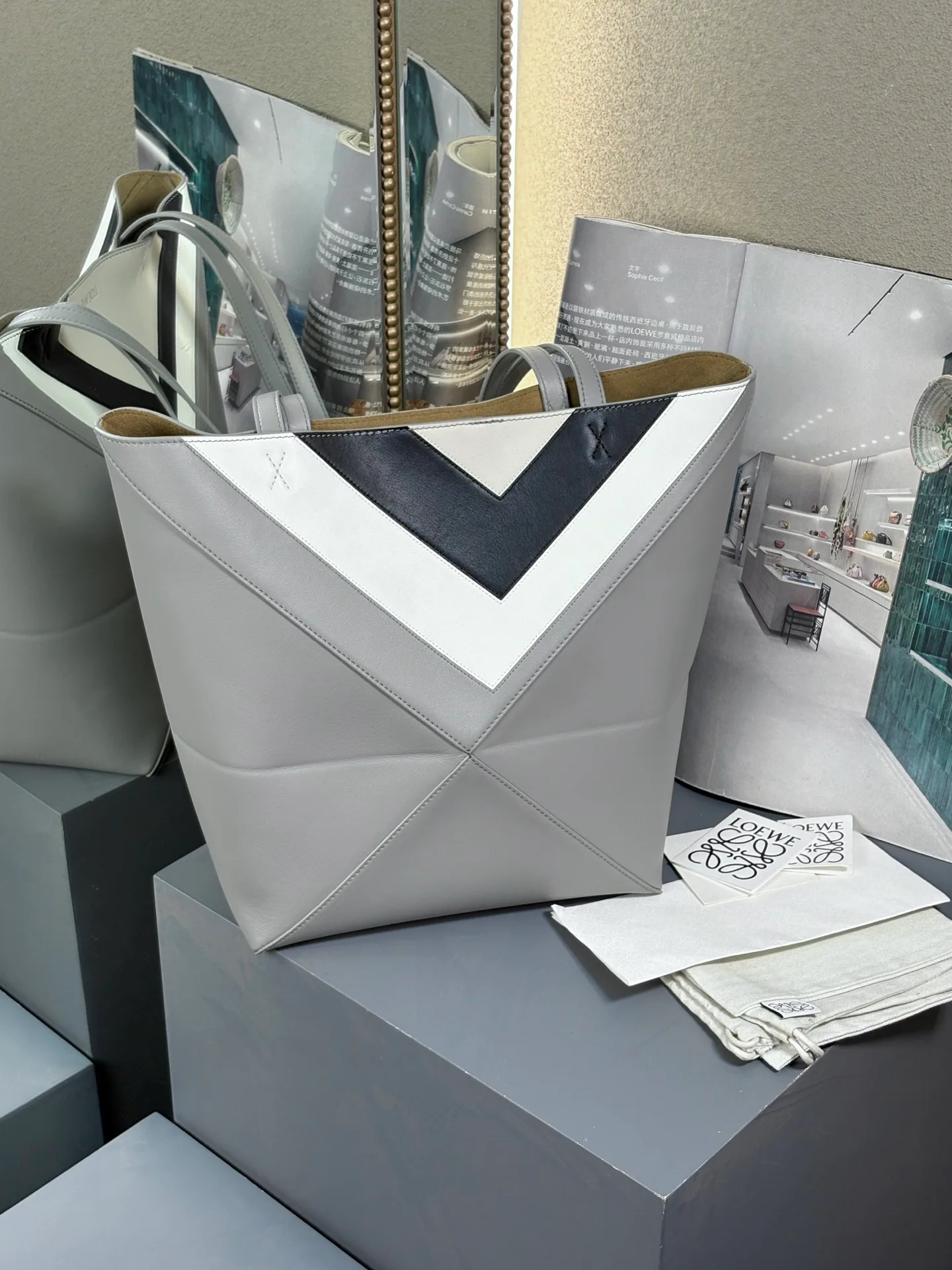 Сумки На Ремне Женские Loewe 418966