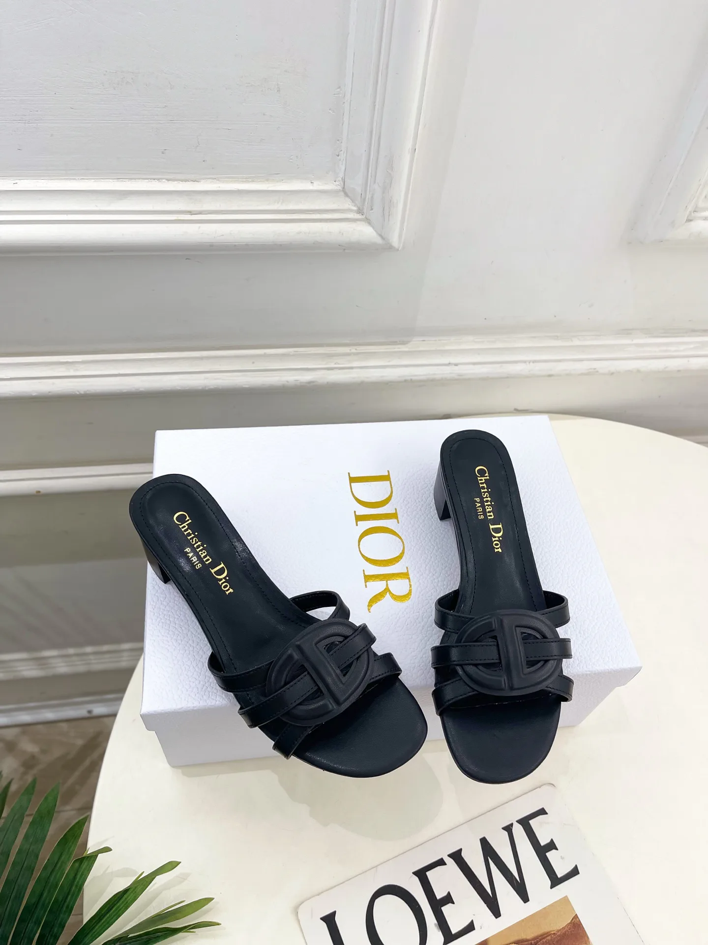 Туфли Женские Christian Dior 12601466
