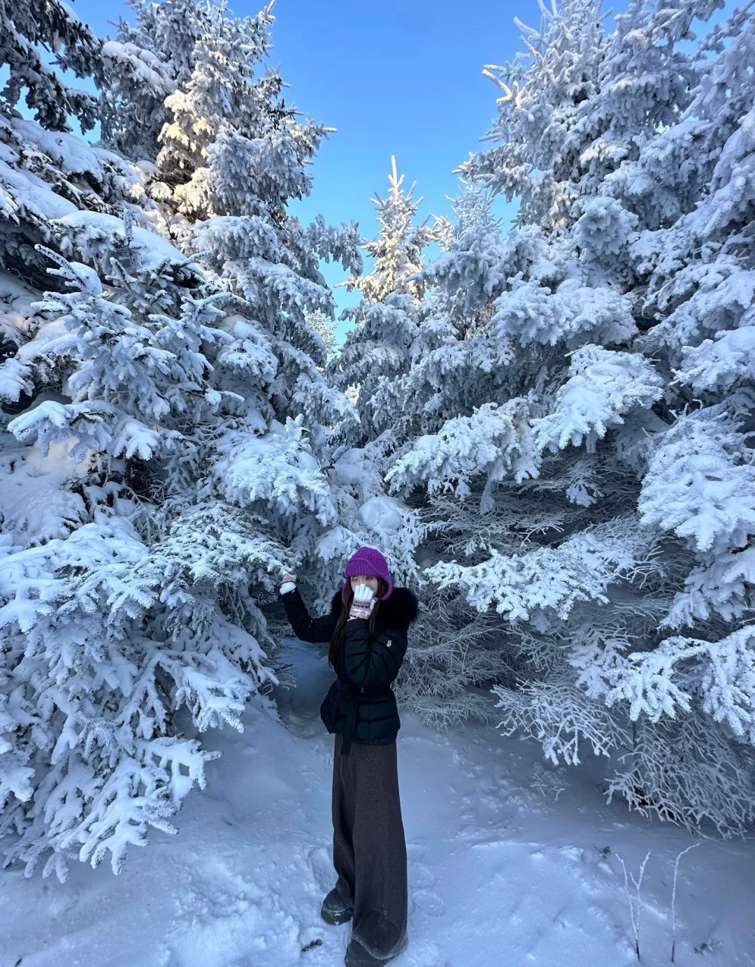 Куртки И Пуховики Женские Moncler 346804