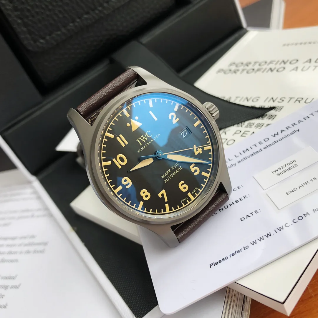 Часы Мужские Iwc 187140