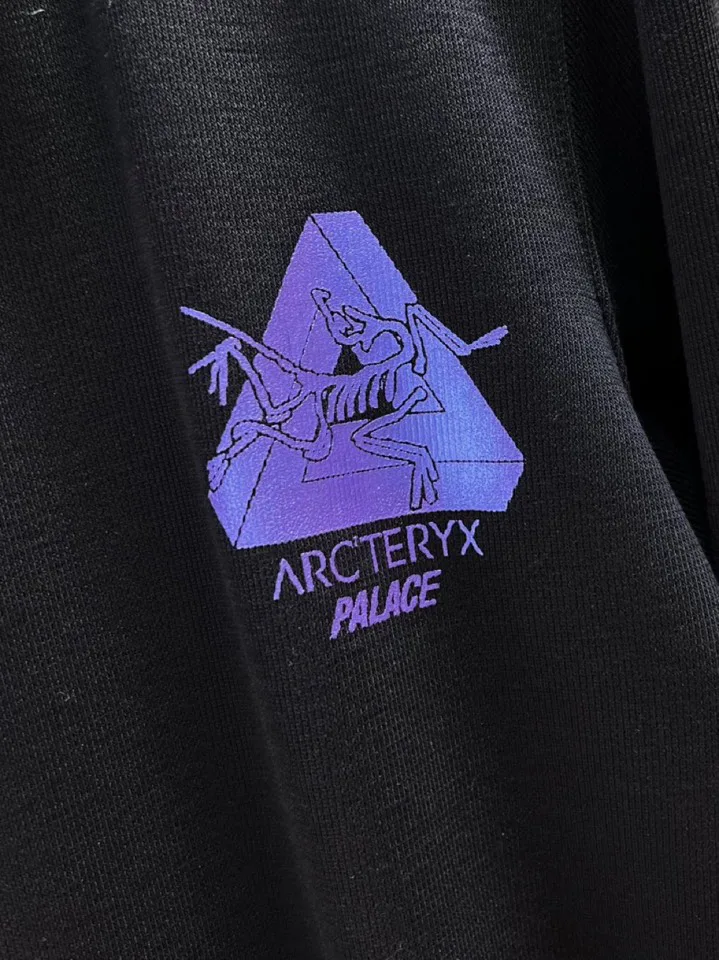 Свитшоты И Худи Мужские Gucci 819049