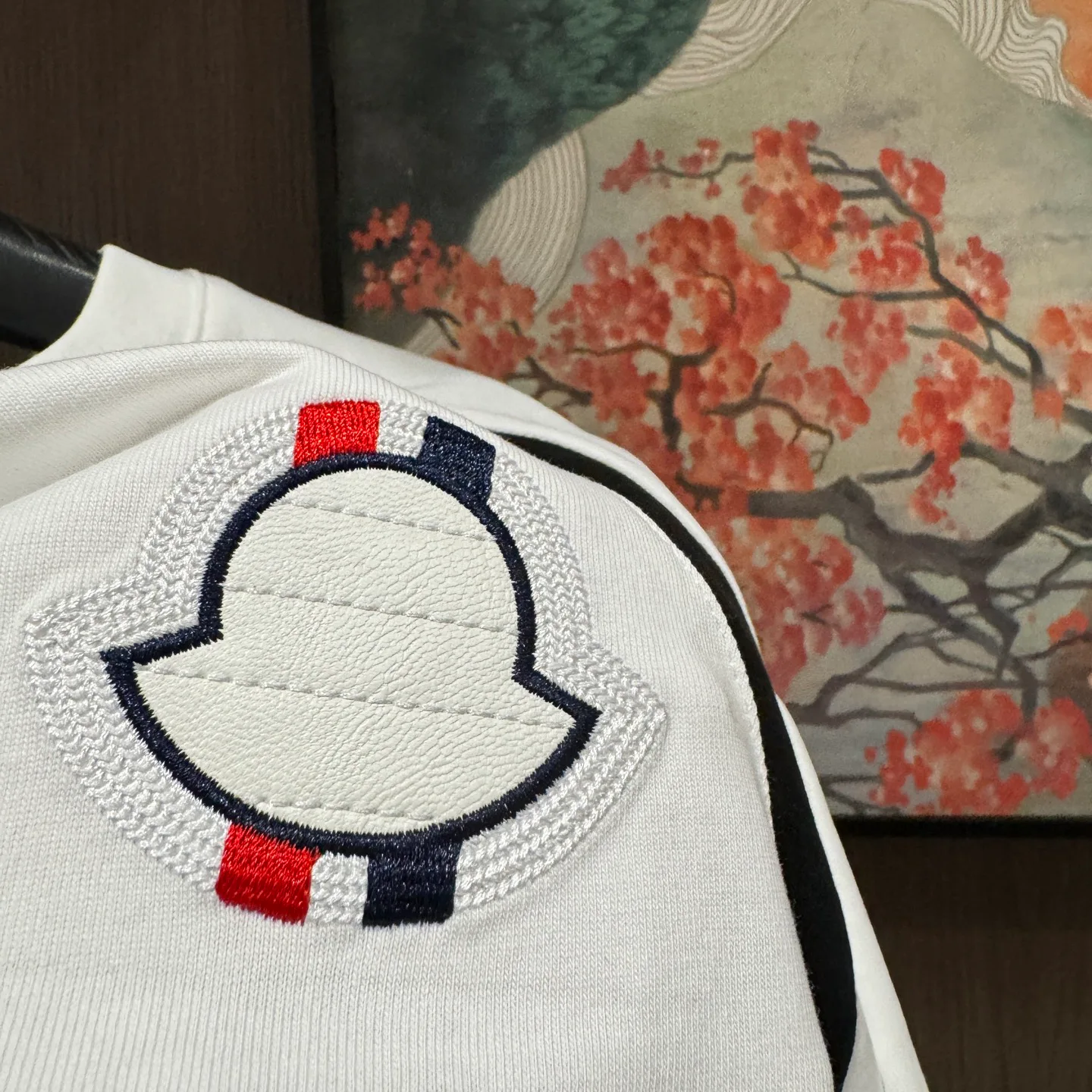 Спортивные Костюмы Мужские Moncler 11790570