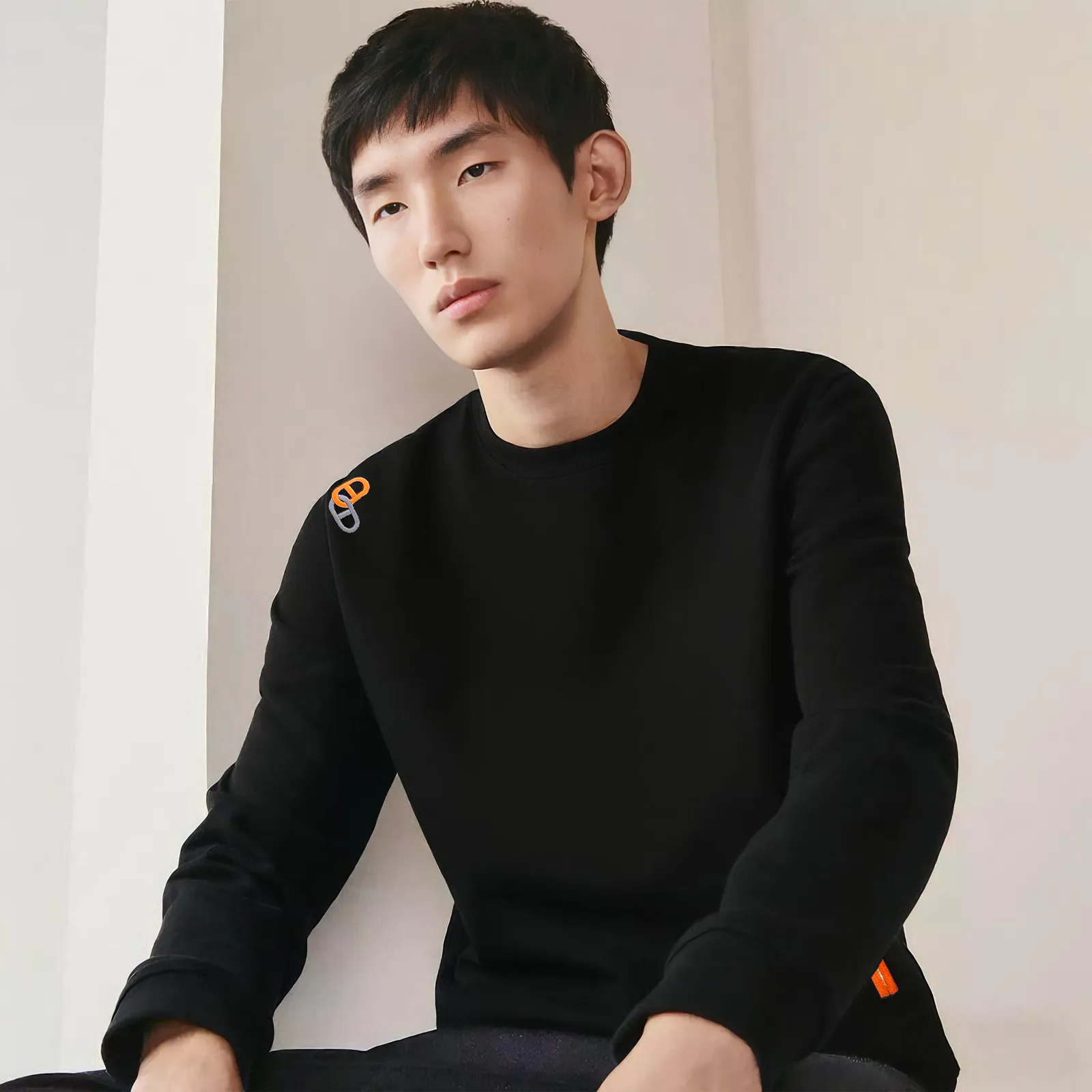 Свитшоты Женские Hermes Свитшоты Женские Hermes