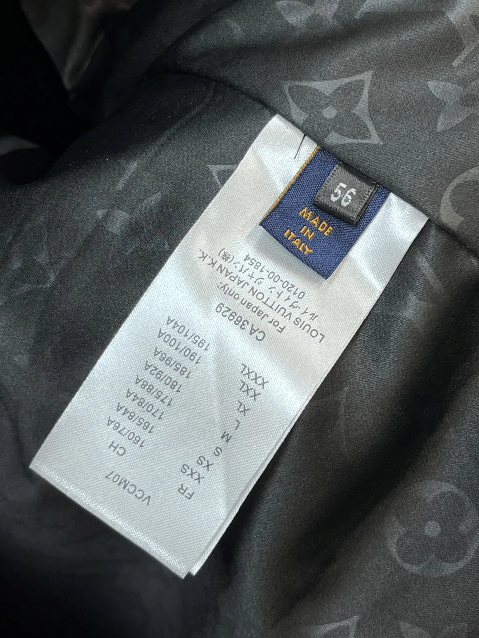 Куртки И Пуховики Мужские Louis Vuitton 119241