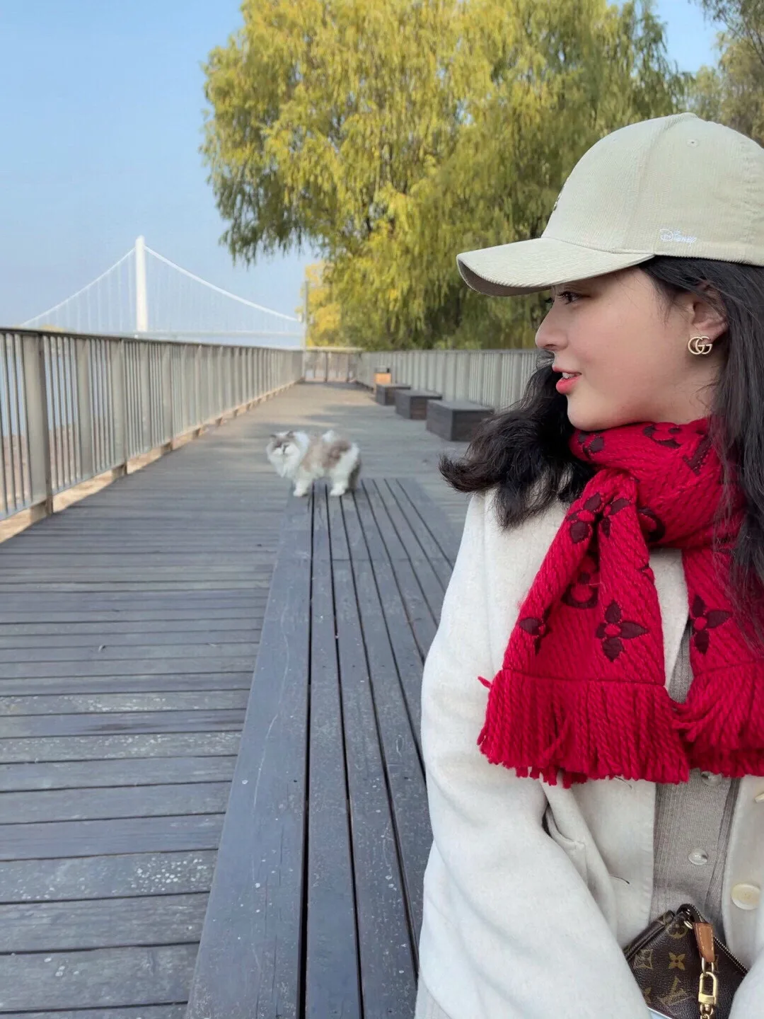 Шарфы Louis Vuitton 964472