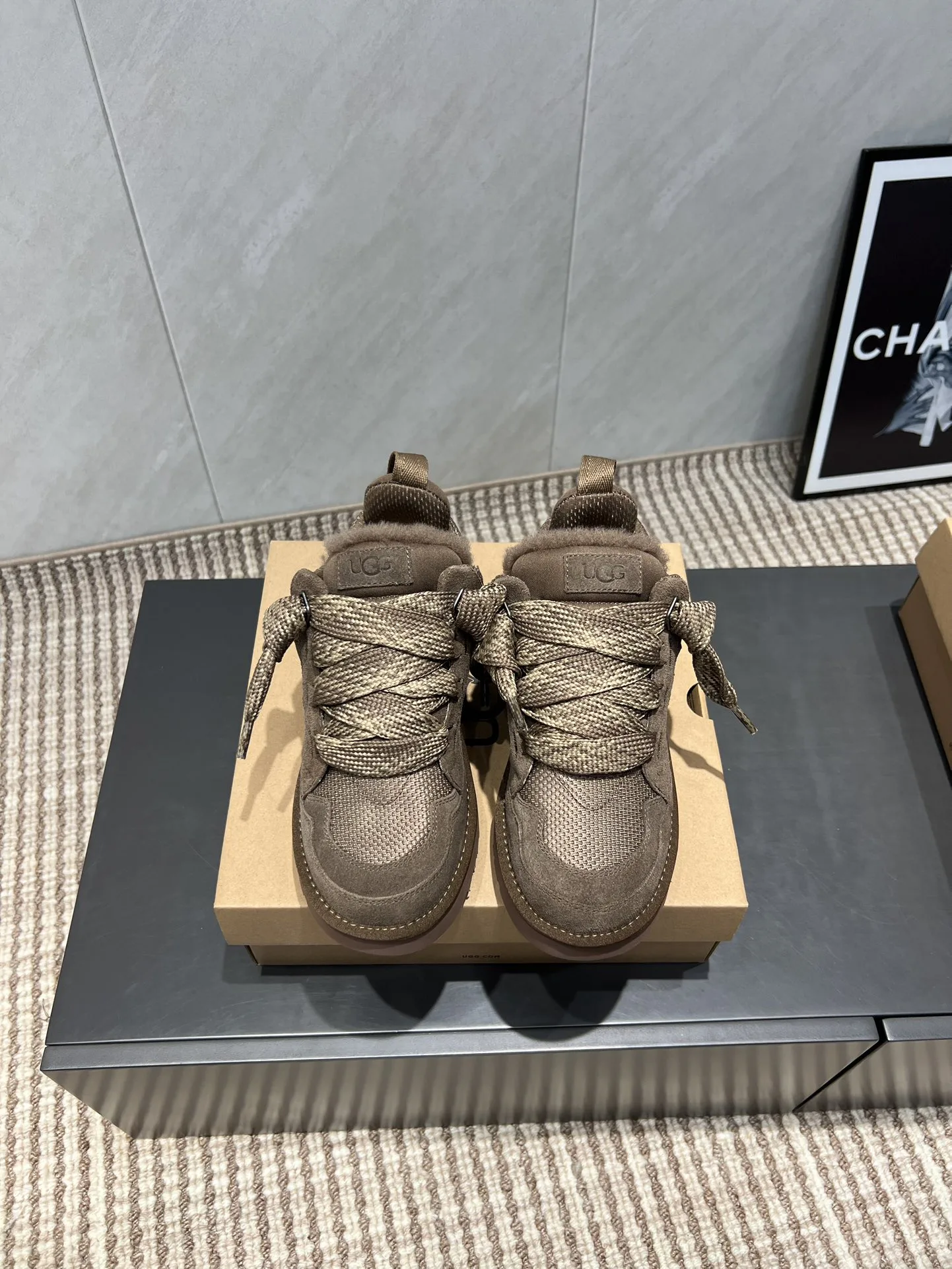 Угги Женские Ugg 2672249