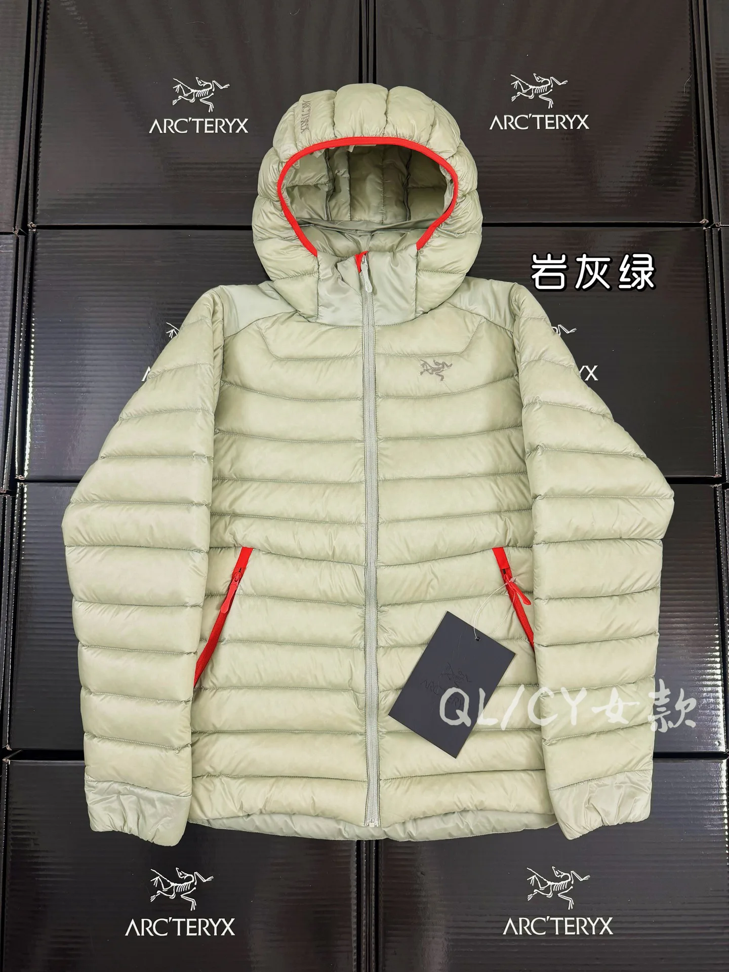 Куртки И Пуховики Женские Arcteryx 19916192
