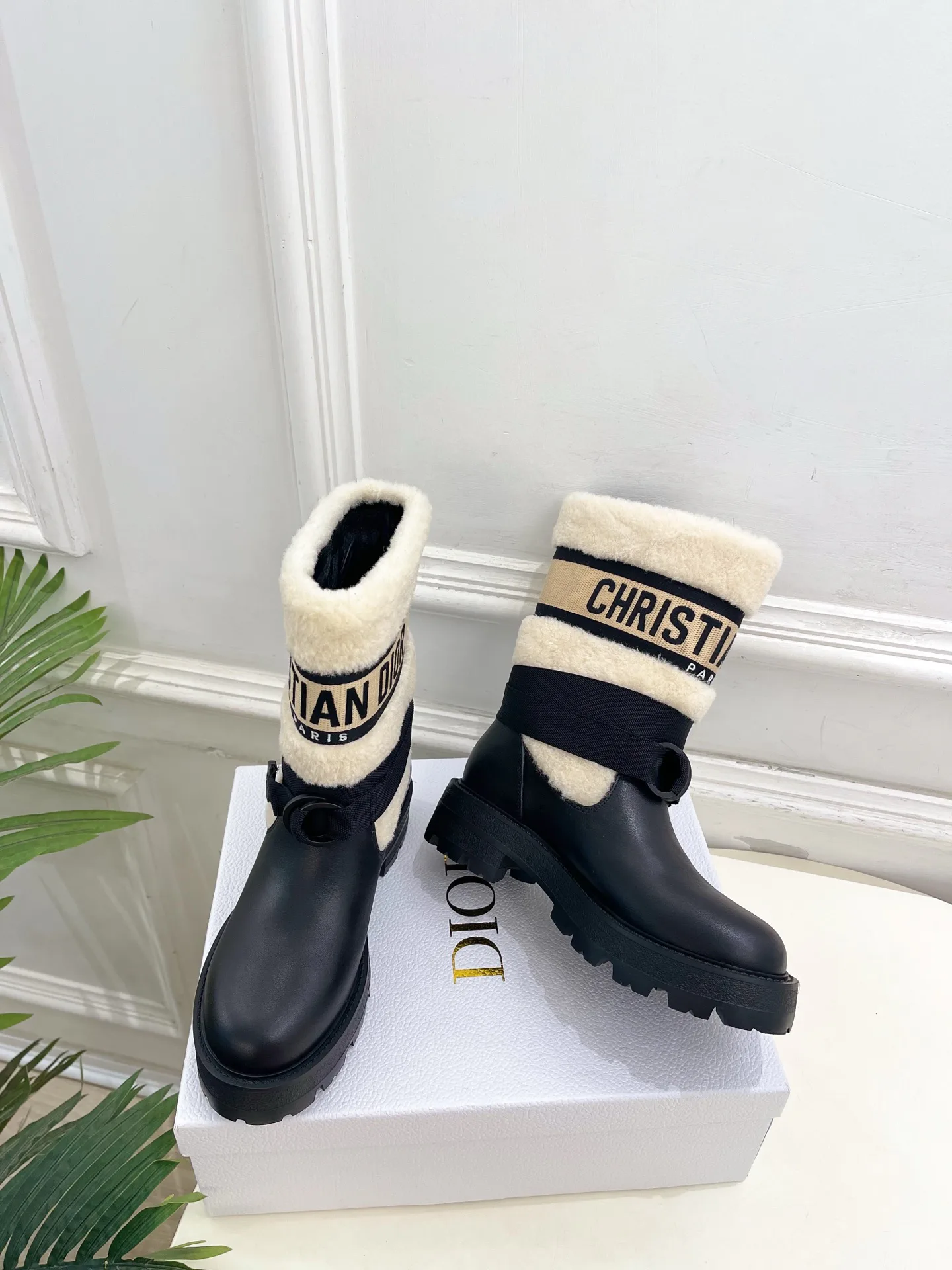 Ботинки Женские Christian Dior 528374