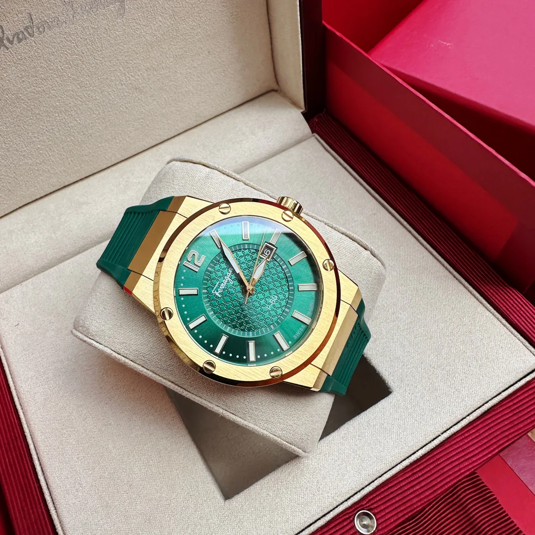 Часы Мужские Salvatore Ferragamo 1284240