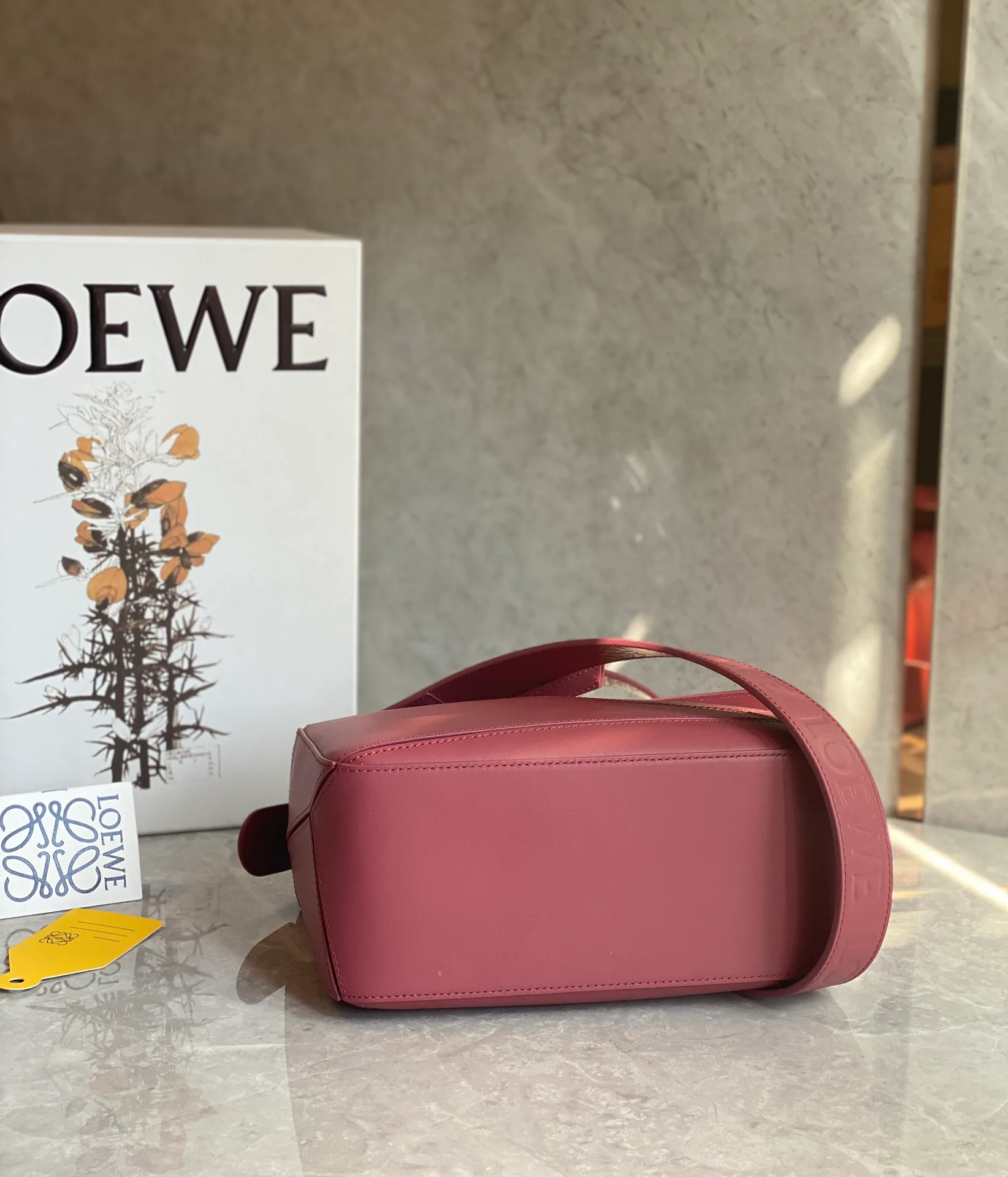 Классические Сумки Женские Loewe 10986849