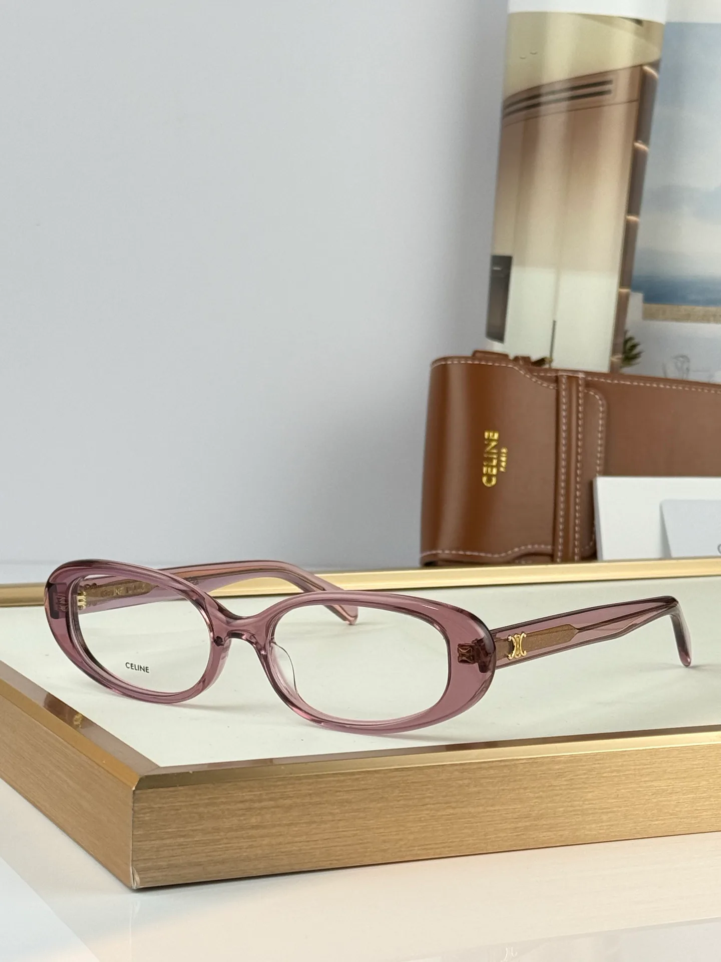 Очки Celine 17253105