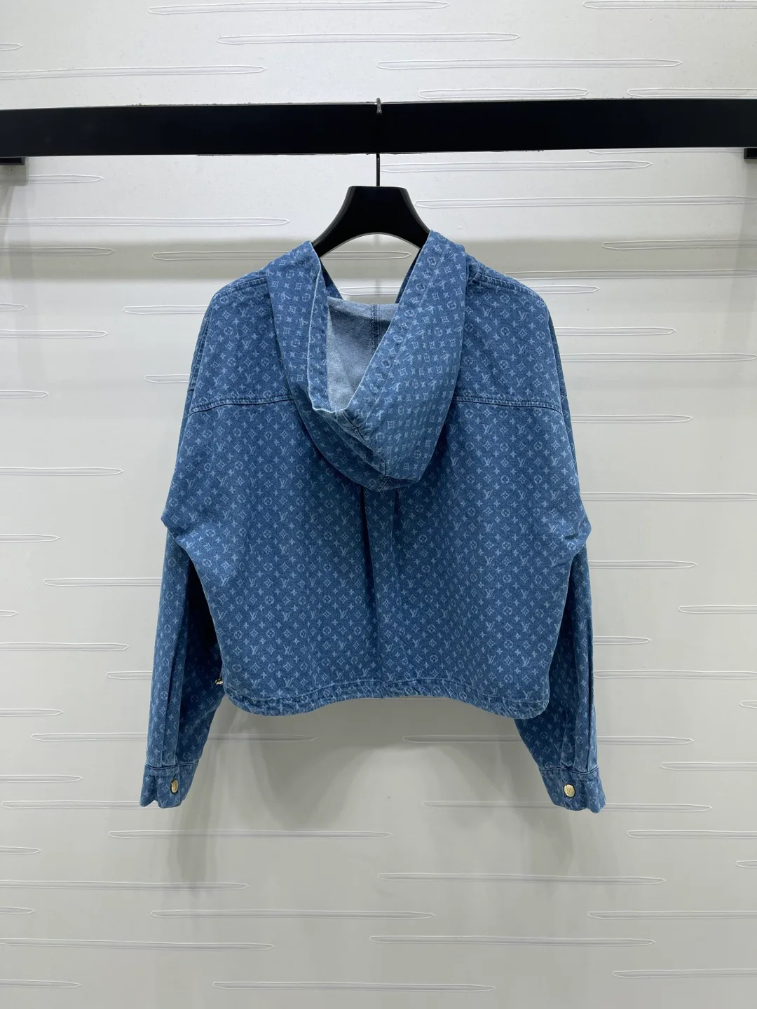 Куртки И Пуховики Женские Louis Vuitton 18038644