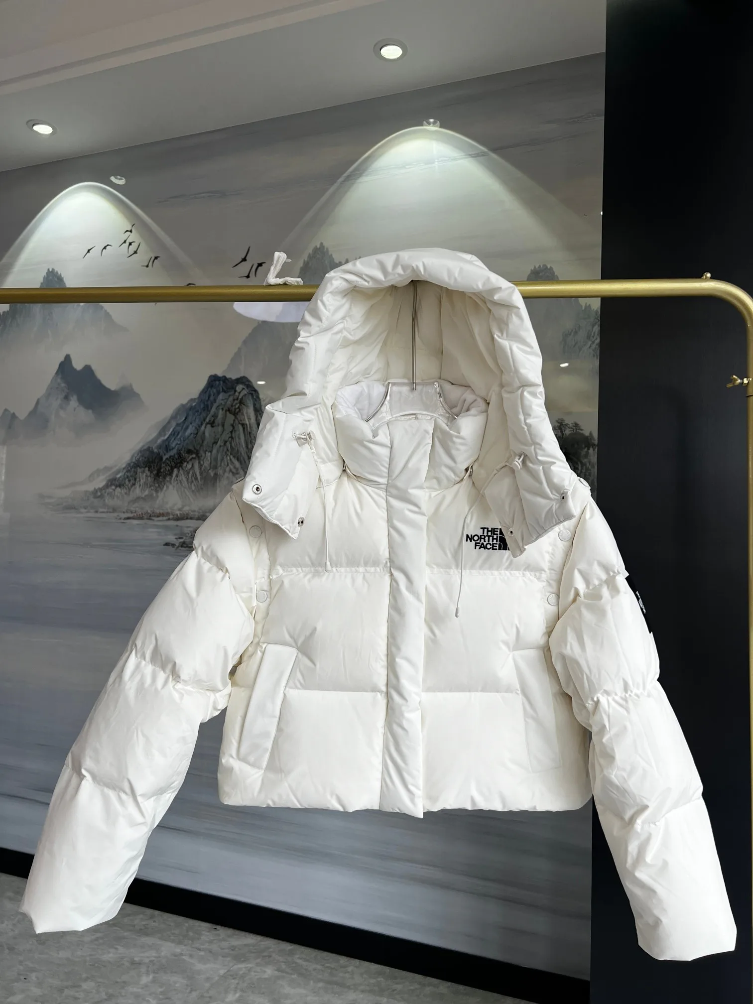 Куртки И Пуховики Женские The North Face 18415959