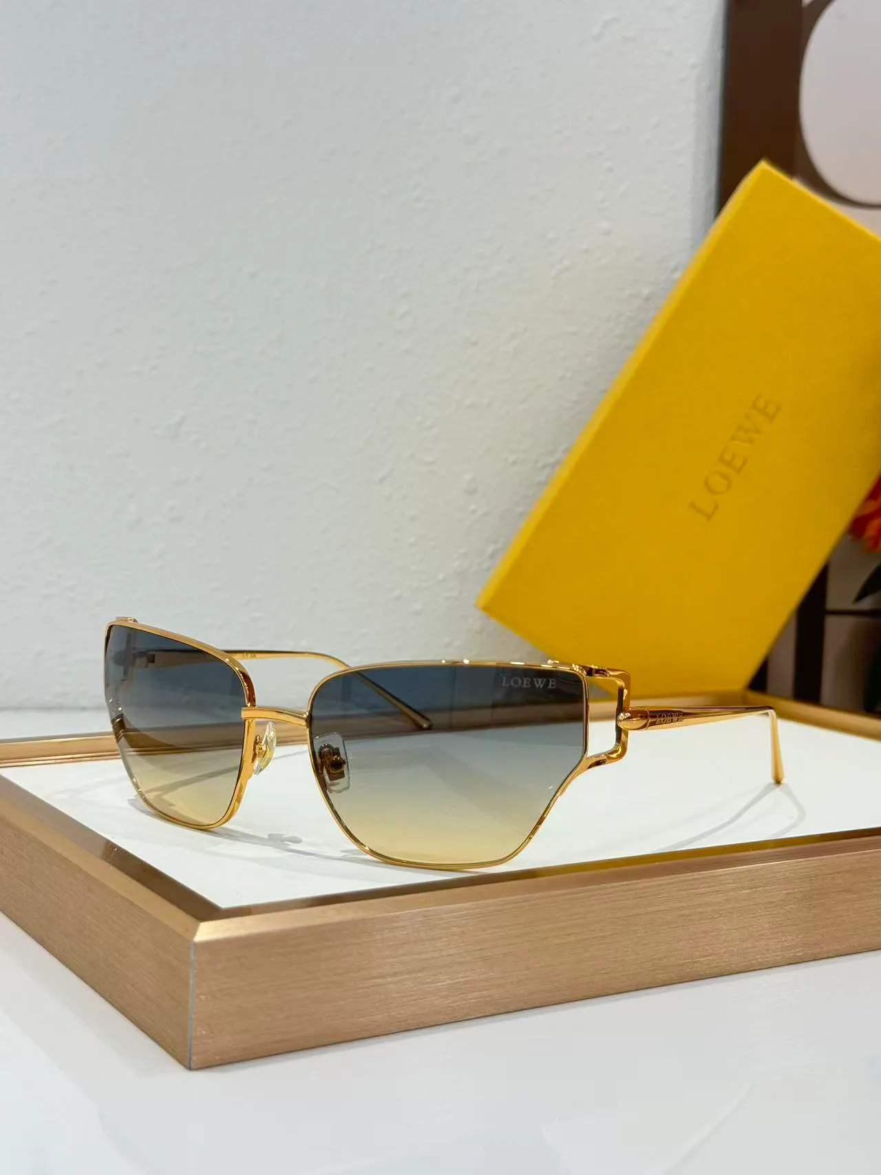 Очки Loewe 18226201