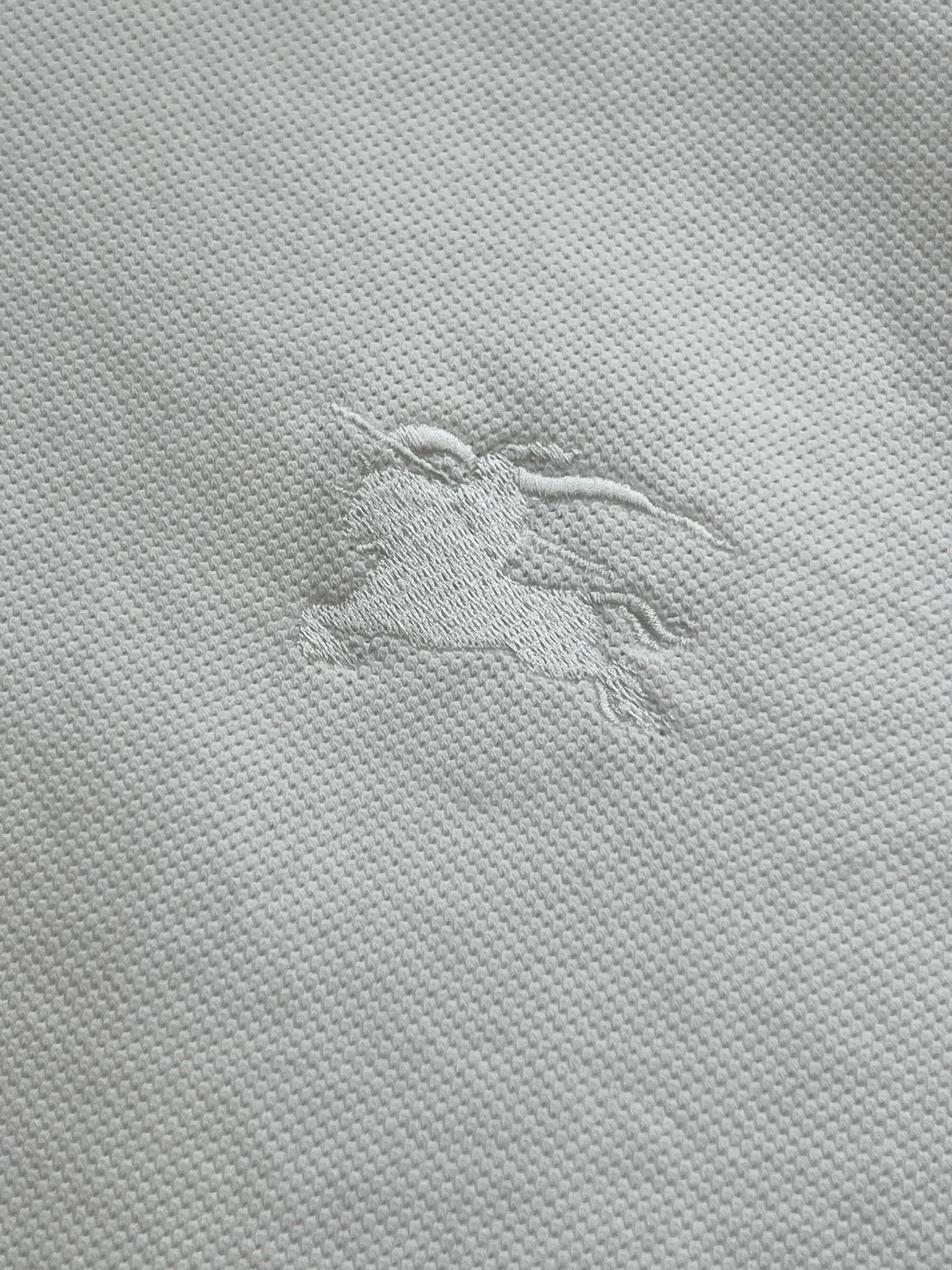 Футболки Мужские Burberry 1688172